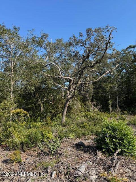 Macclenny, FL 32063,0 STEEL BRIDGE LOT 11 RD