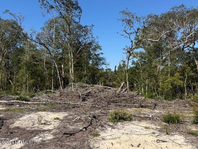 Macclenny, FL 32063,0 STEEL BRIDGE LOT 11 RD