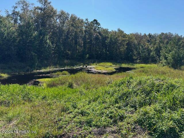 Macclenny, FL 32063,0 STEEL BRIDGE LOT 10 RD