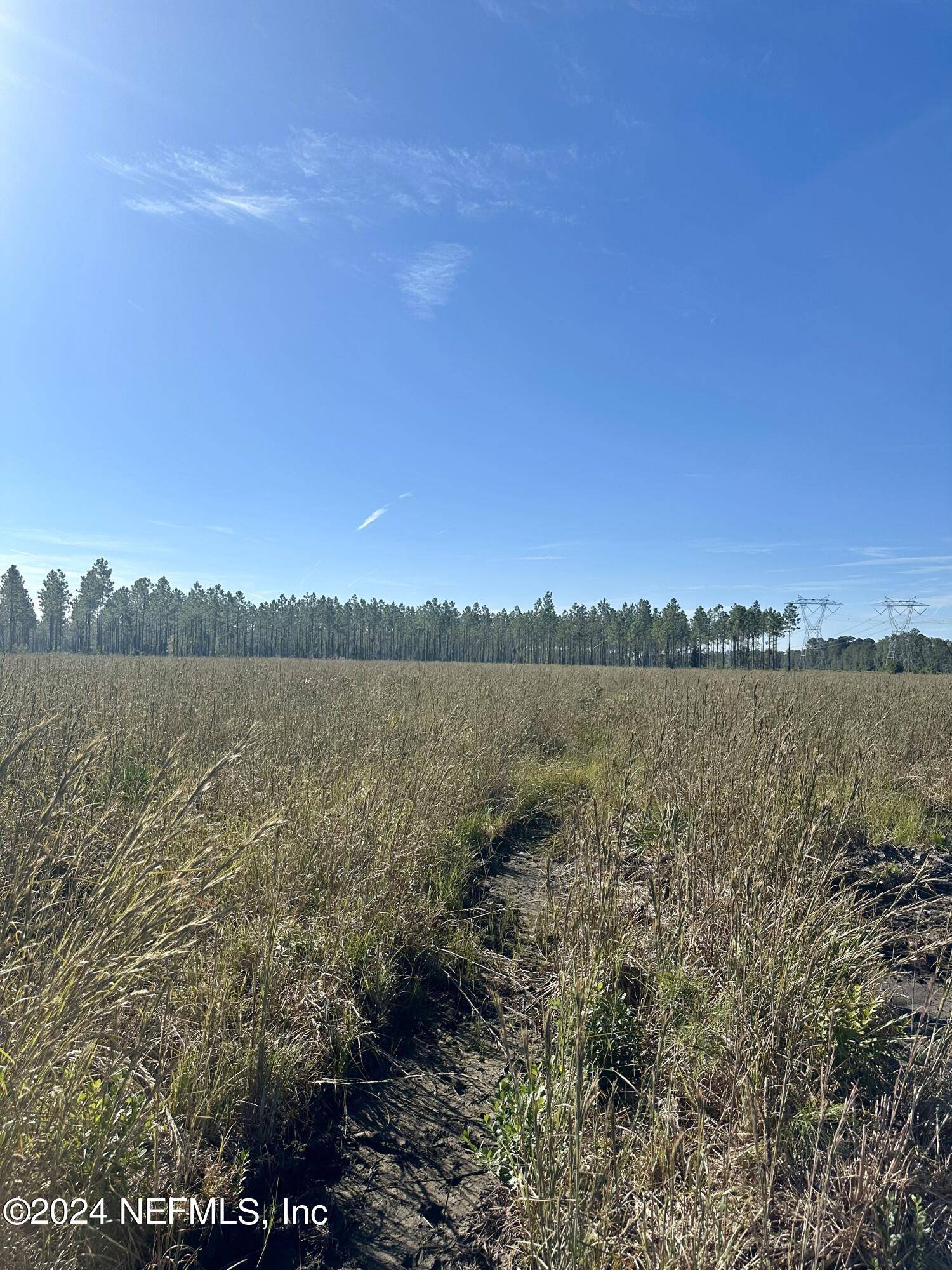 Hilliard, FL 32046,172746 ANDREWS RD