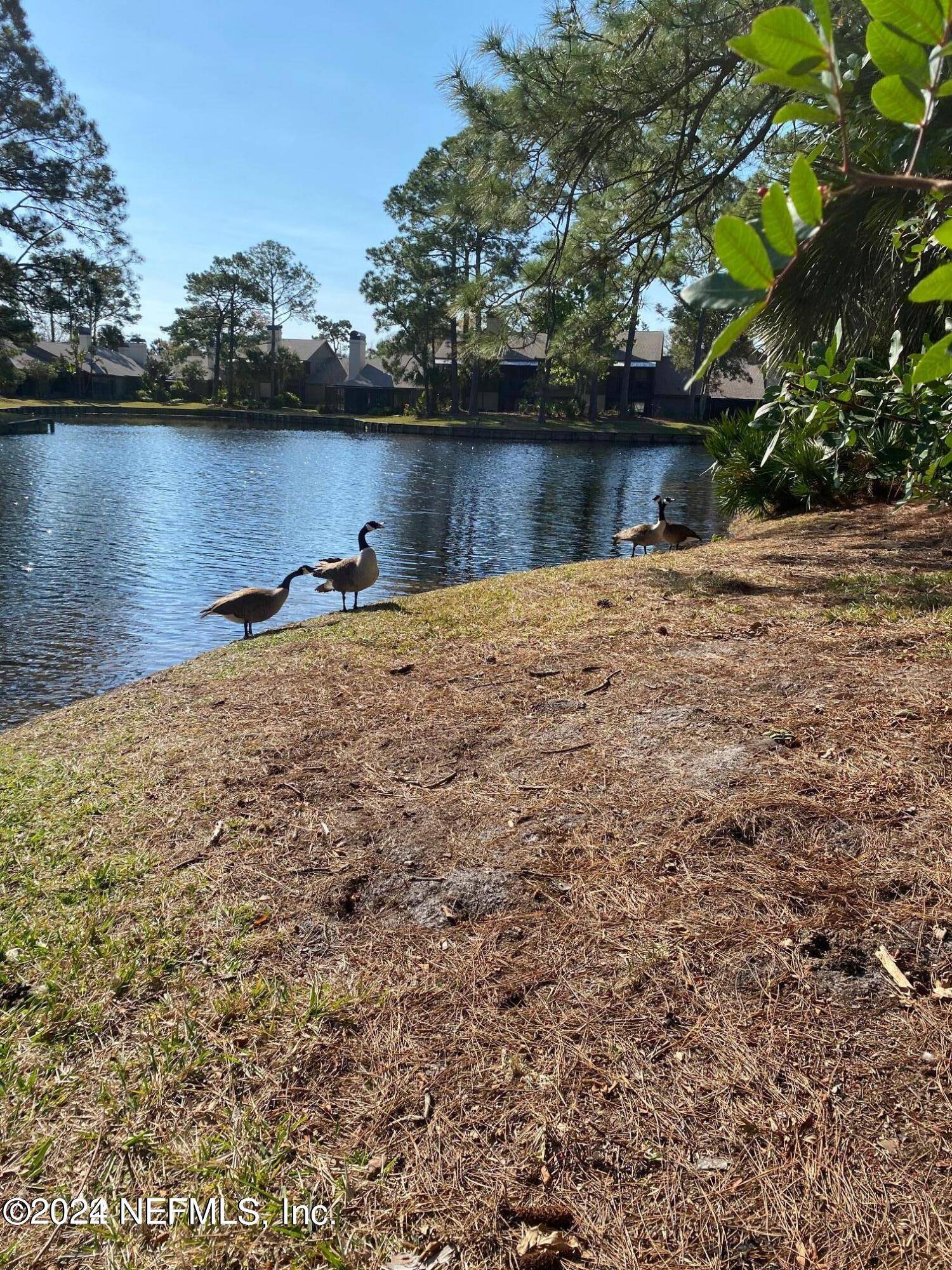 Ponte Vedra Beach, FL 32082,109 CRANES LAKE DR