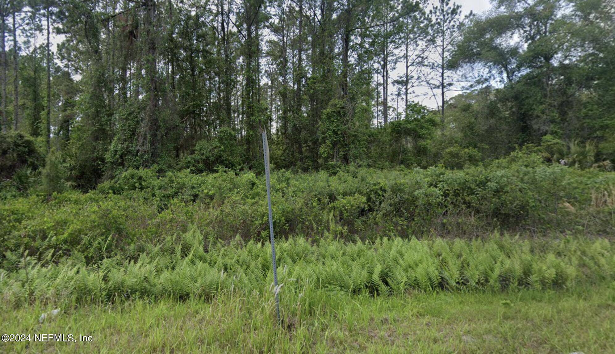 Georgetown, FL 32139,137 LAKEWAY DR