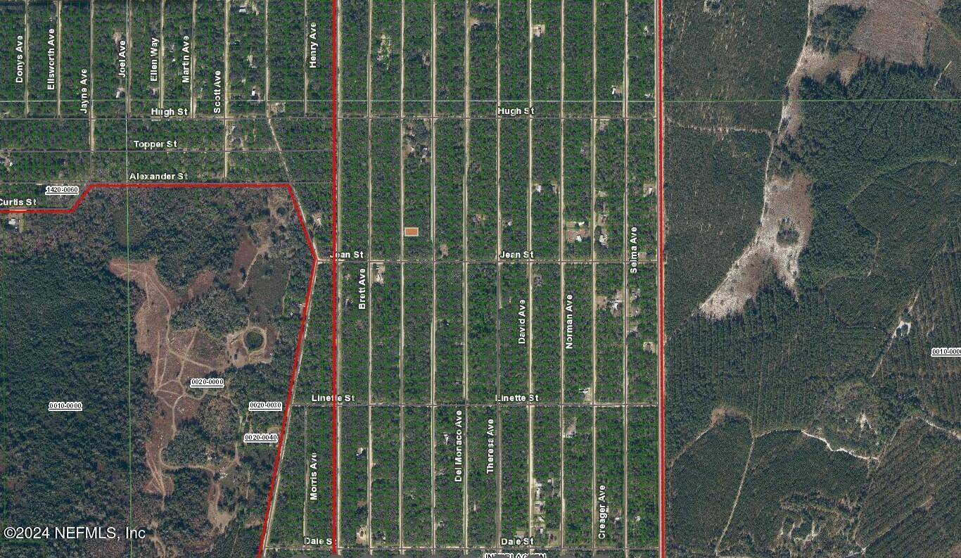 Interlachen, FL 32148,0 NEILSEN AVE