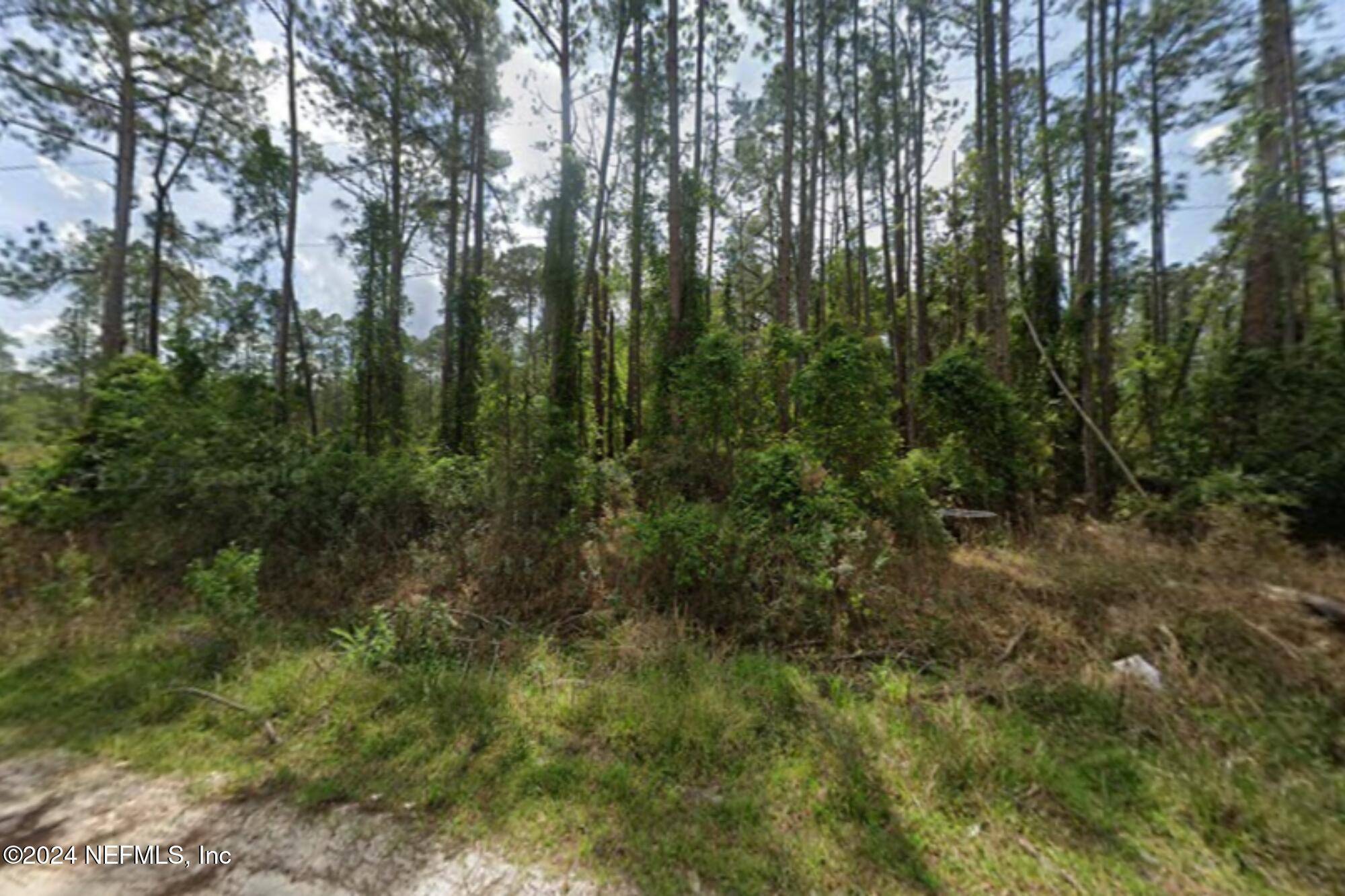 Georgetown, FL 32139,105 PINE CONE DR