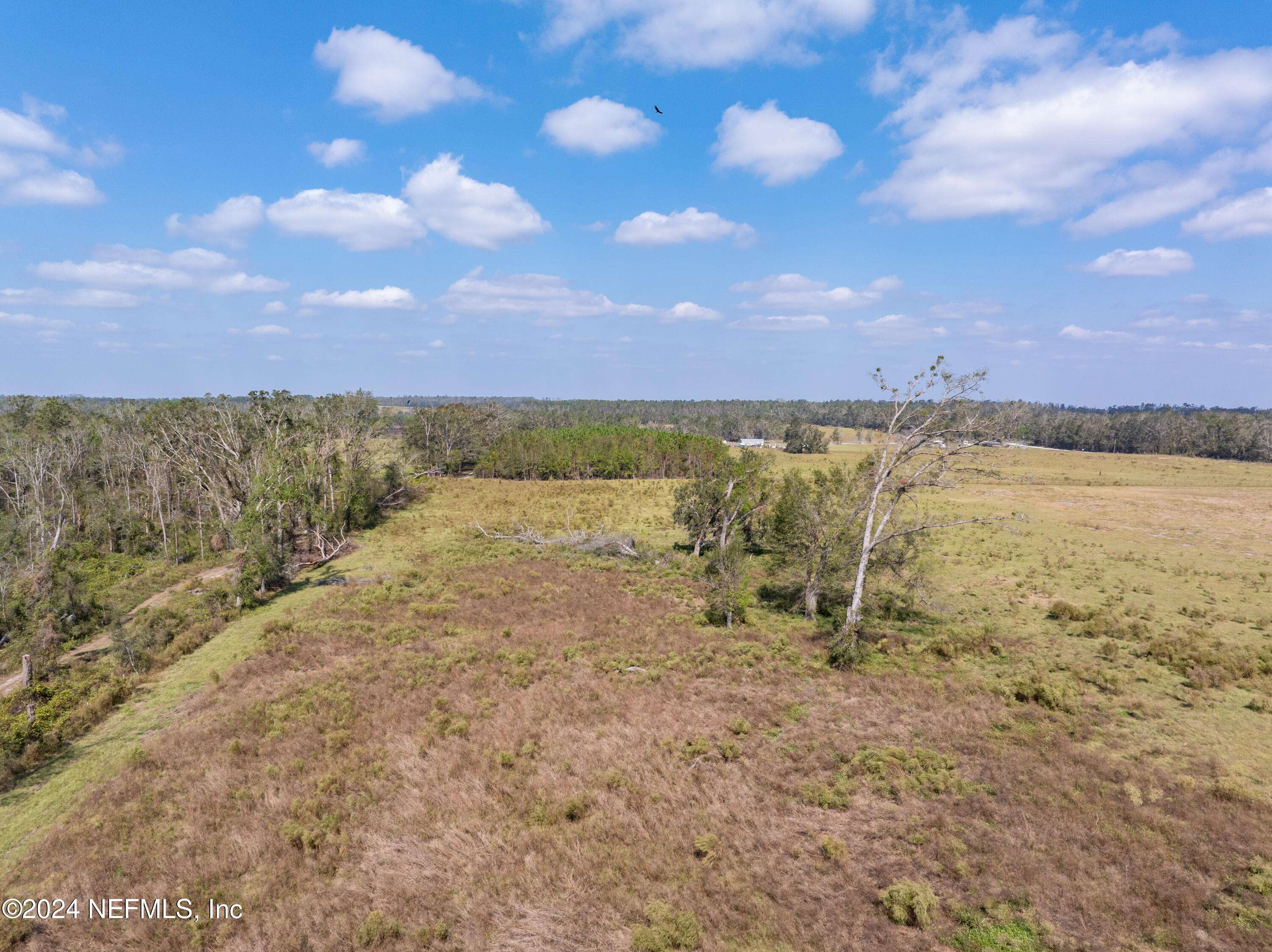 Live Oak, FL 32060,TBD 167TH RD