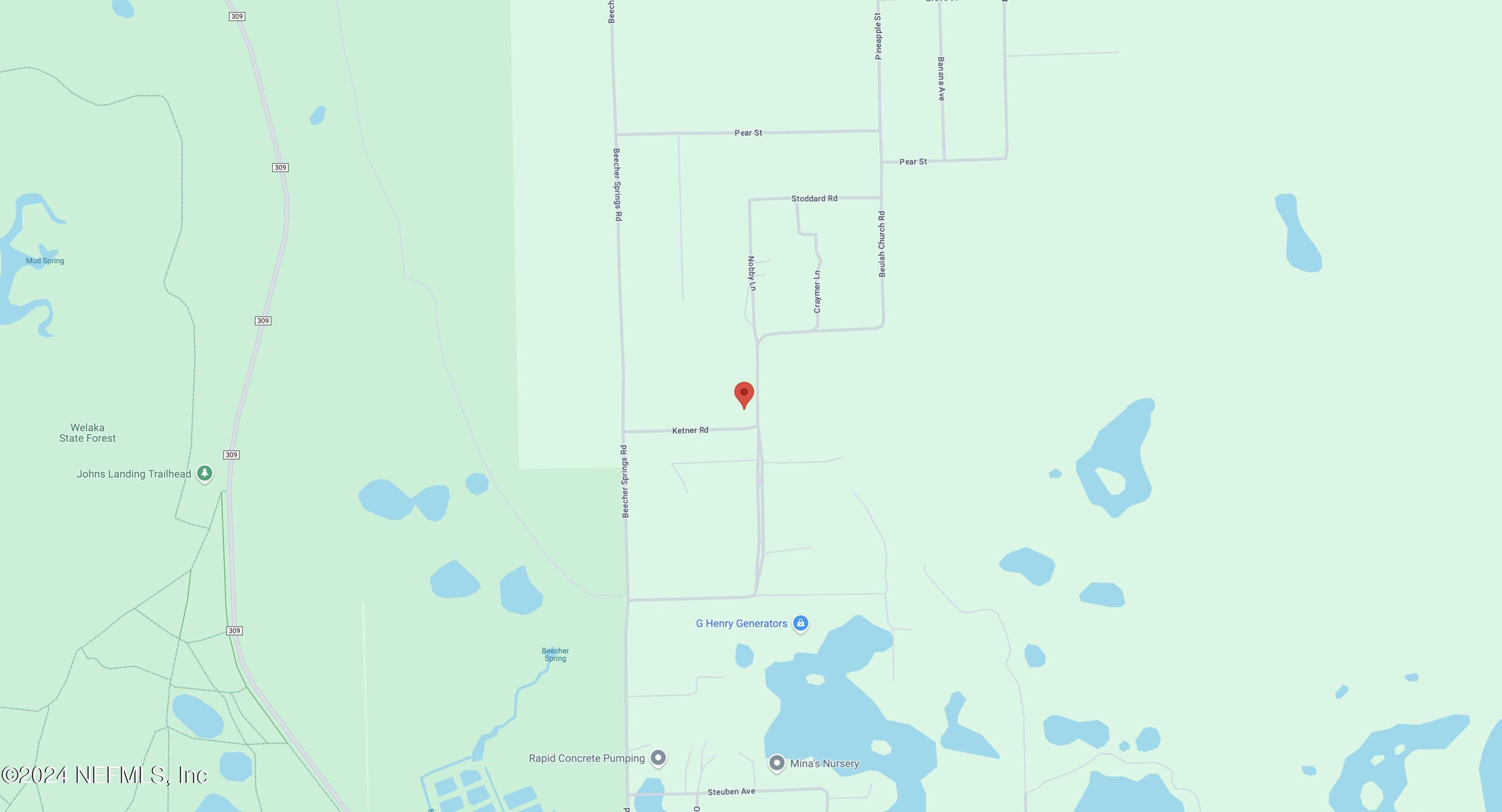 Welaka, FL 32112,140 HIGHLINER RD