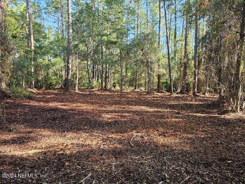 Georgetown, FL 32139,202 FIRST ST