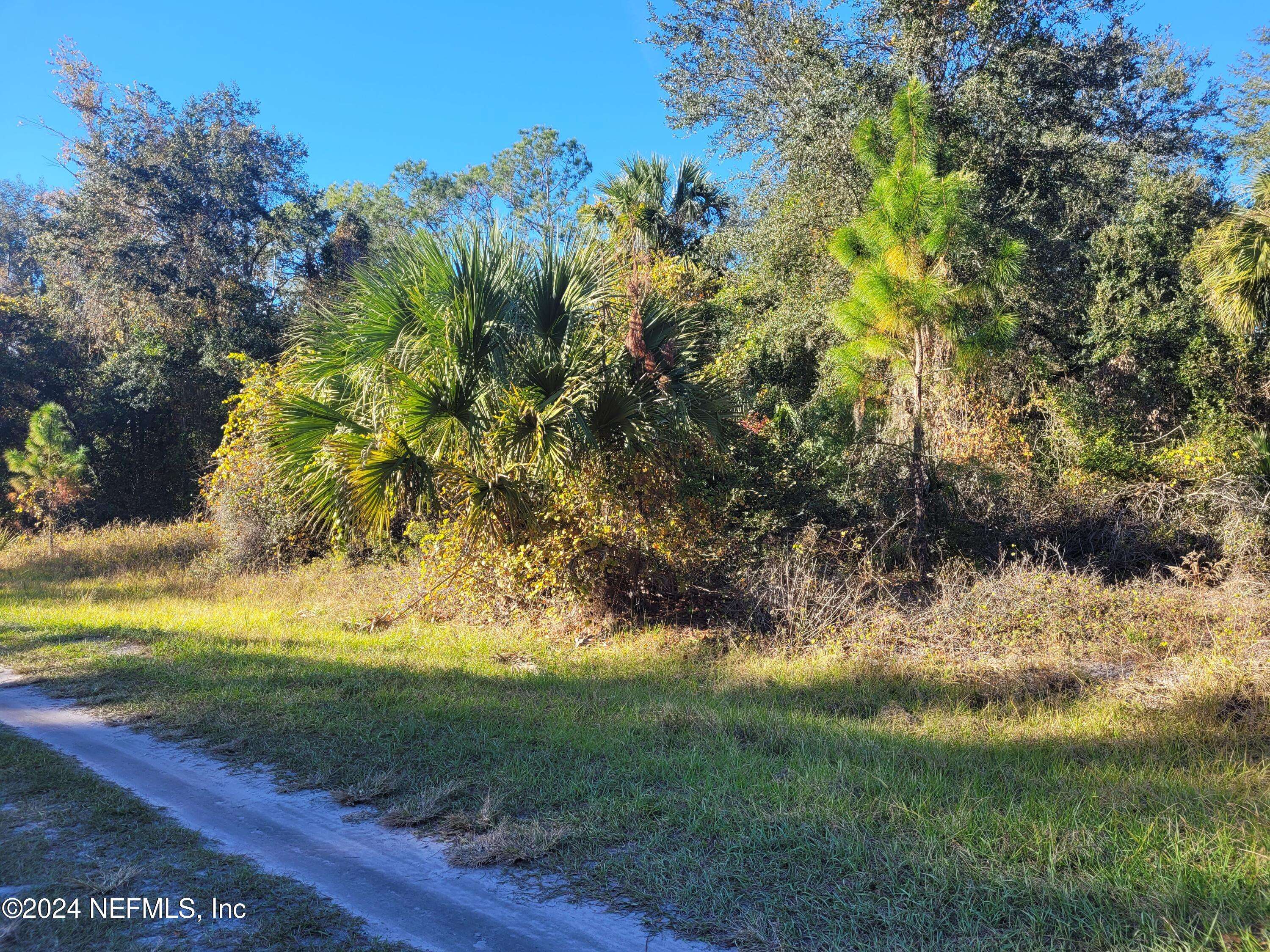 Georgetown, FL 32139,910 PARADISE BLVD