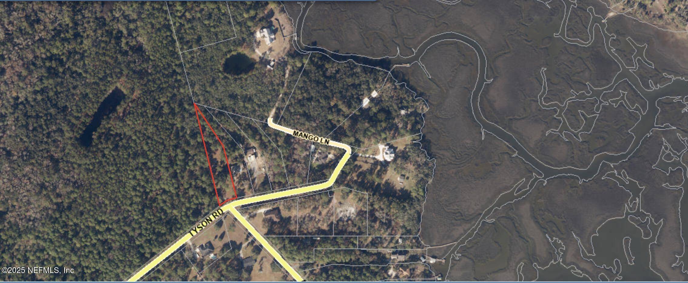 Fernandina Beach, FL 32034,95539 TYSON RD