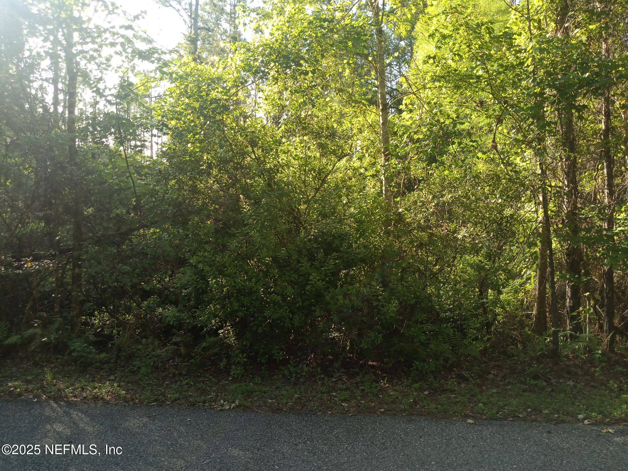 Elkton, FL 32033,0 RAILROAD AVE