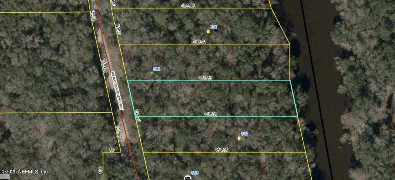 Lee, FL 32059,LOT 4 NE MADISON BLUFFS WAY