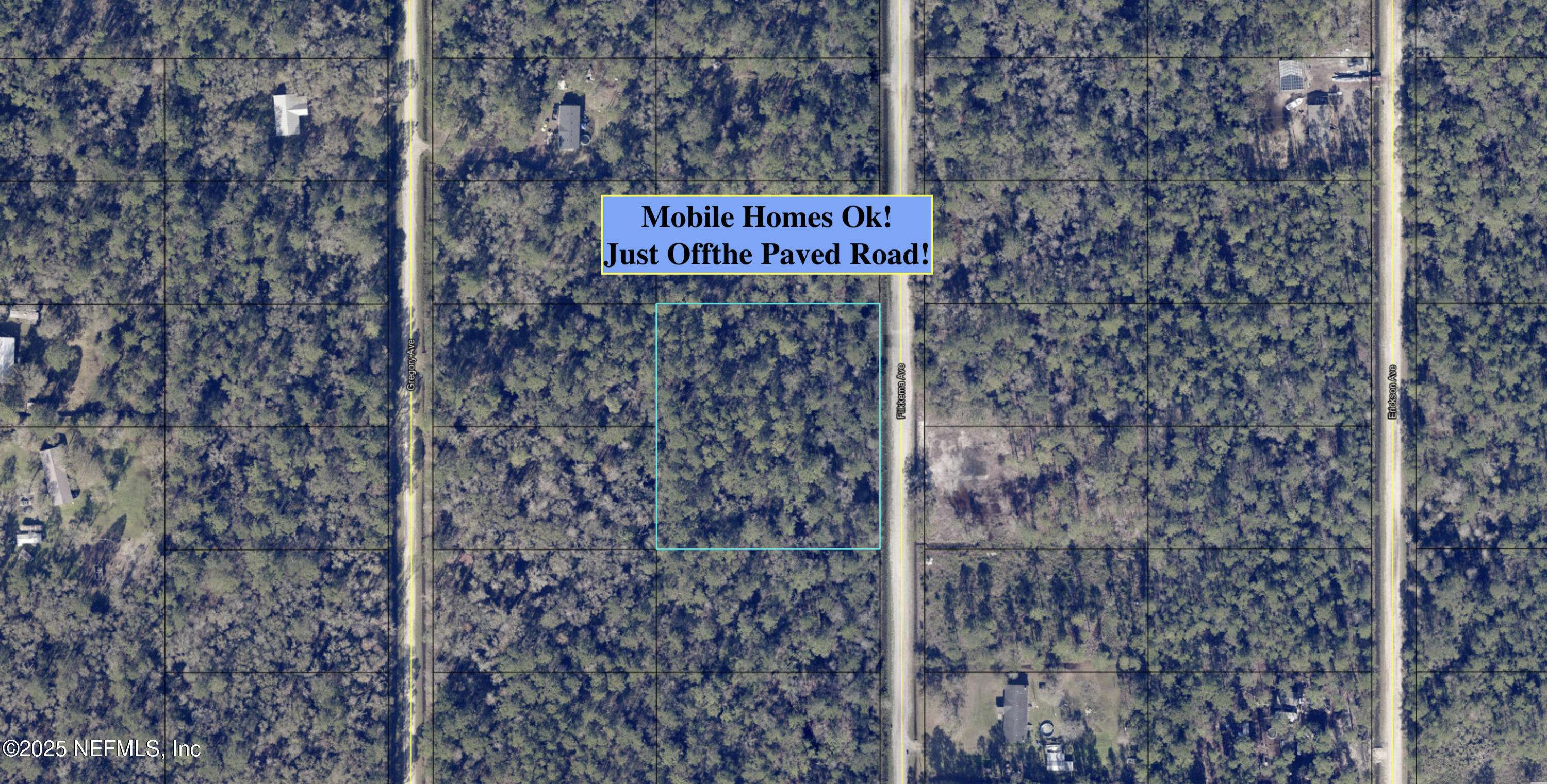 Hastings, FL 32145,10655 FLIKKEMA AVE