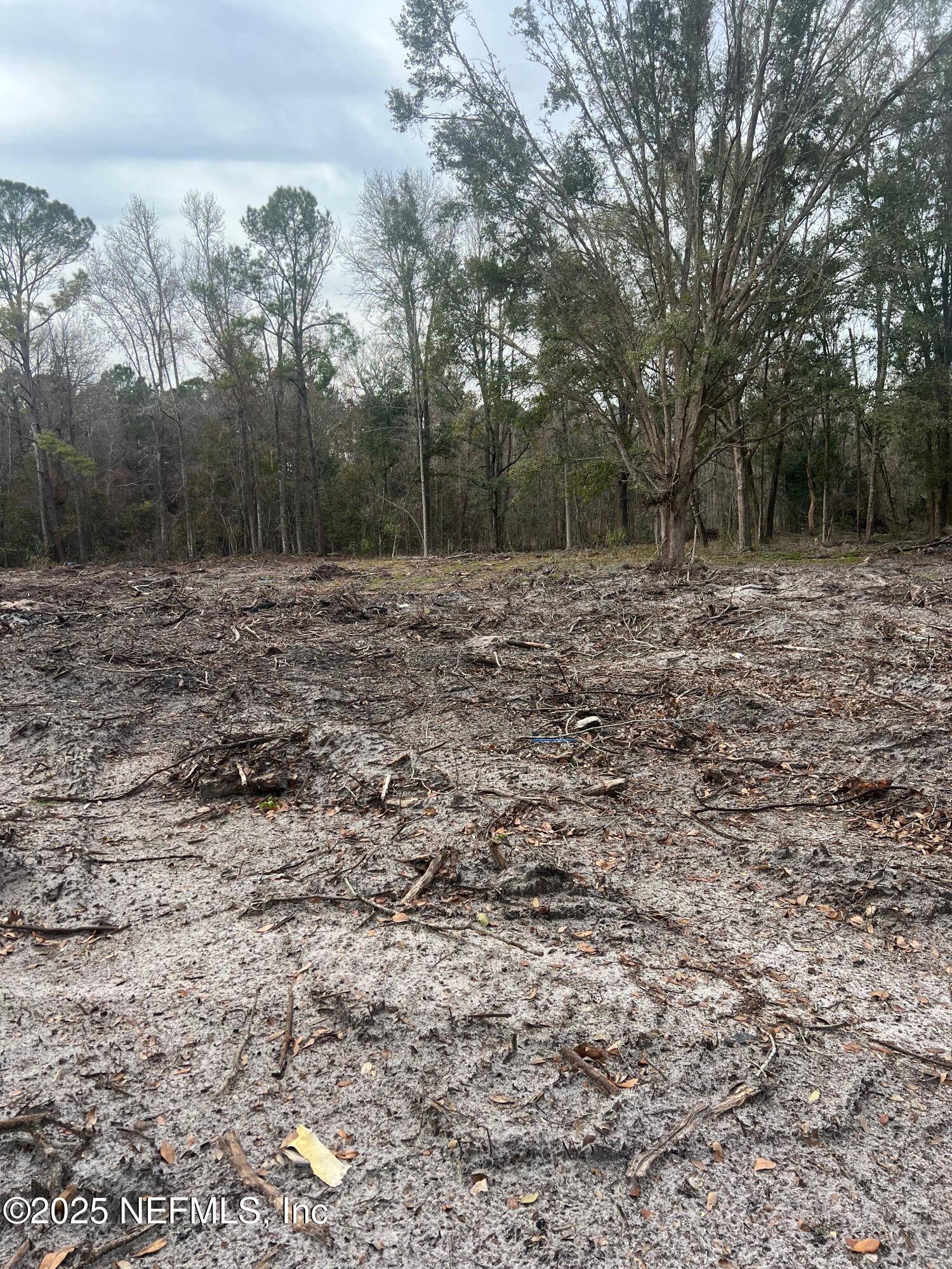 Interlachen, FL 32148,407 WALKER DR