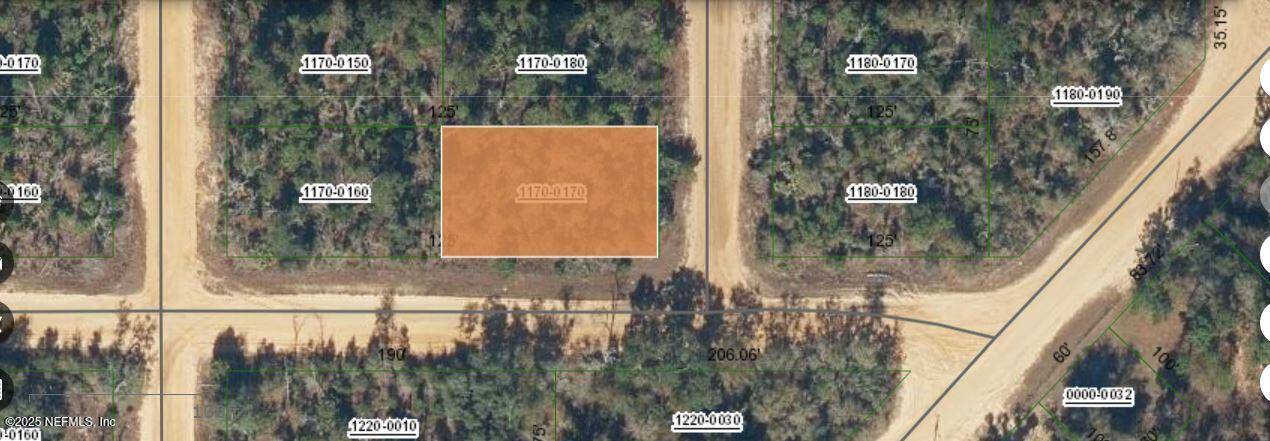 Interlachen, FL 32148,00000000 DAVID AVE