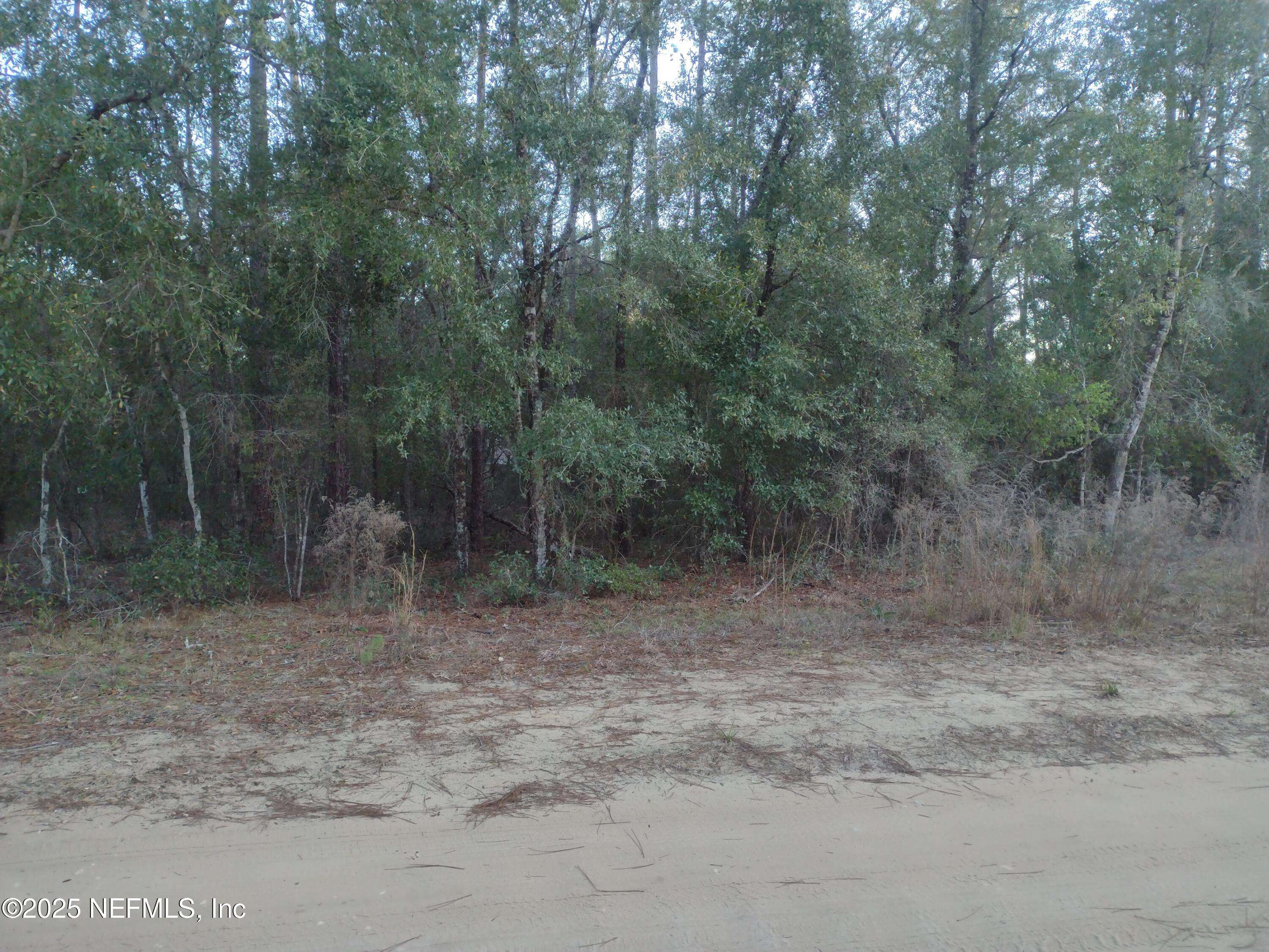 Melrose, FL 32666,89 TUCKER LAKE RD