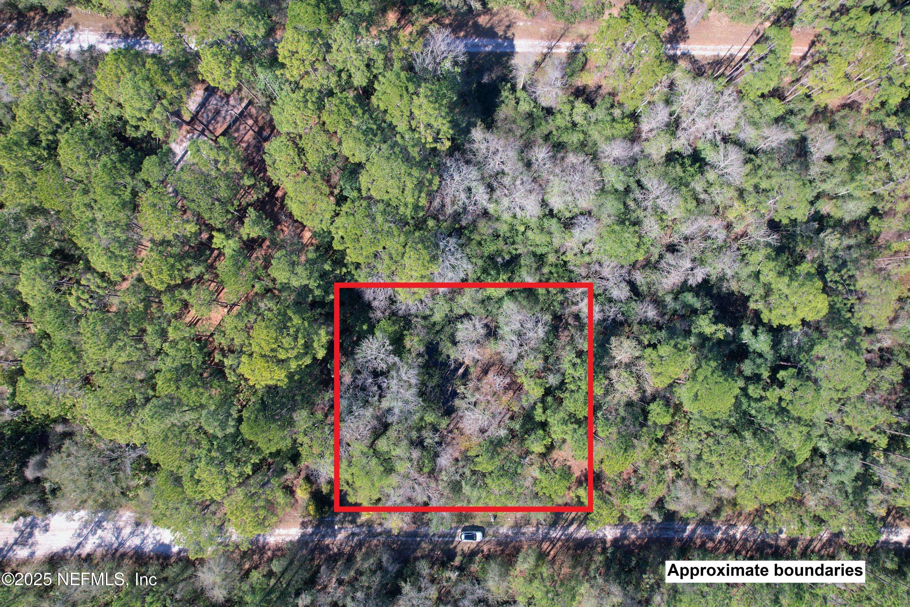 Georgetown, FL 32139,324 PALM WAY