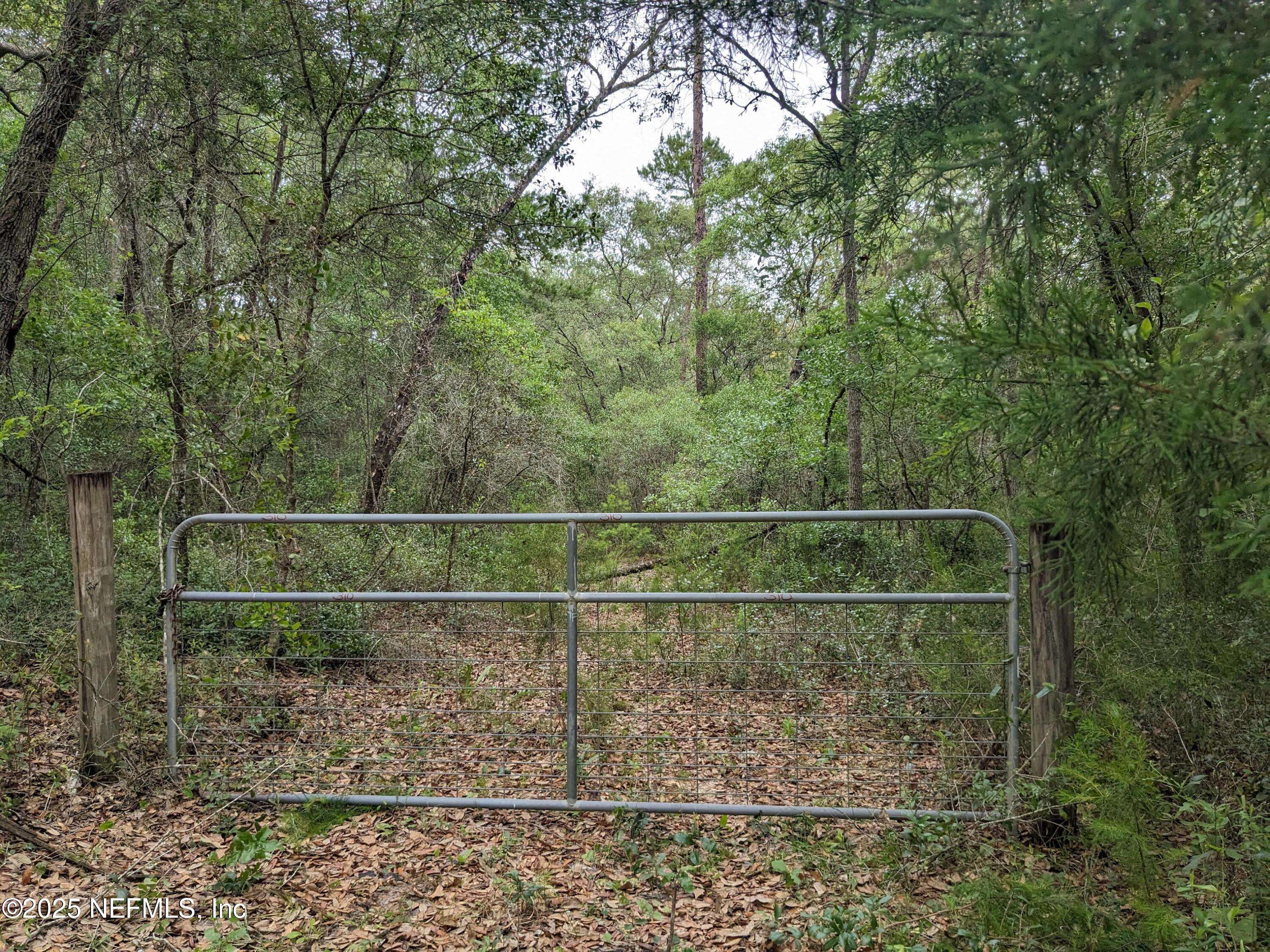Hawthorne, FL 32640,310 ORANGE SPRINGS CUTOFF RD