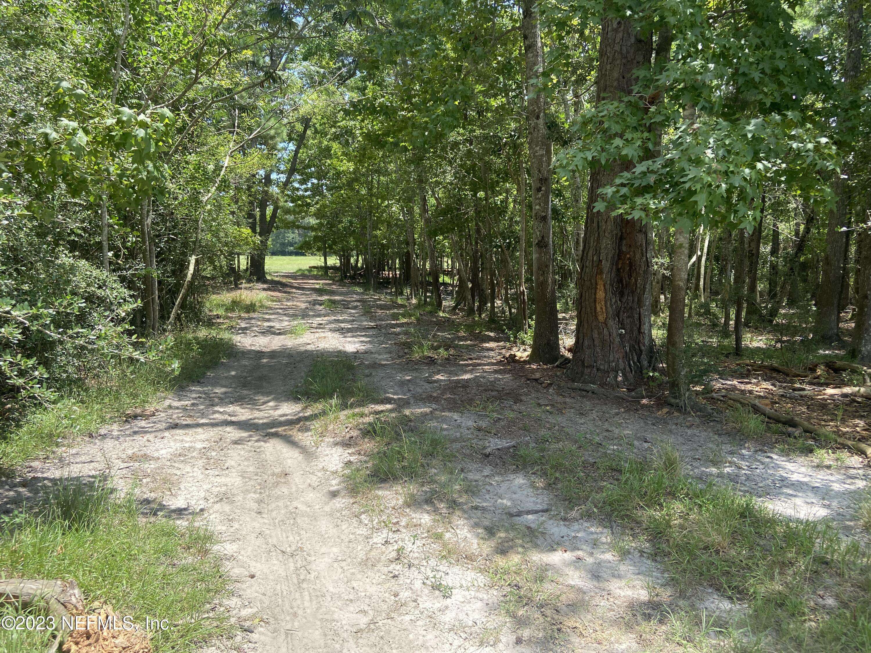 Wewahitchka, FL 32465,TBD HWY 71 S