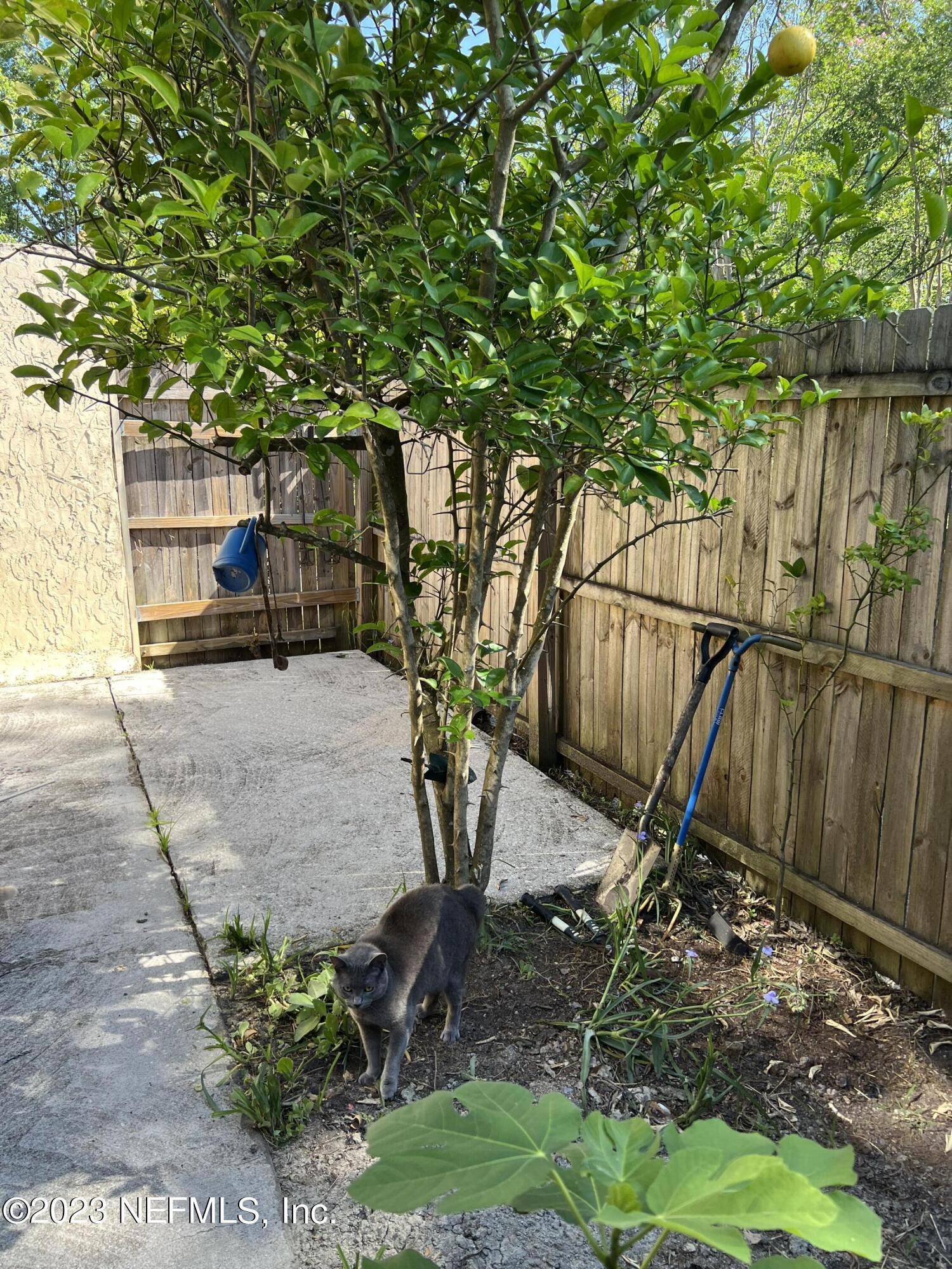 Jacksonville, FL 32246,10711 WHISPERING WOODS PL #2
