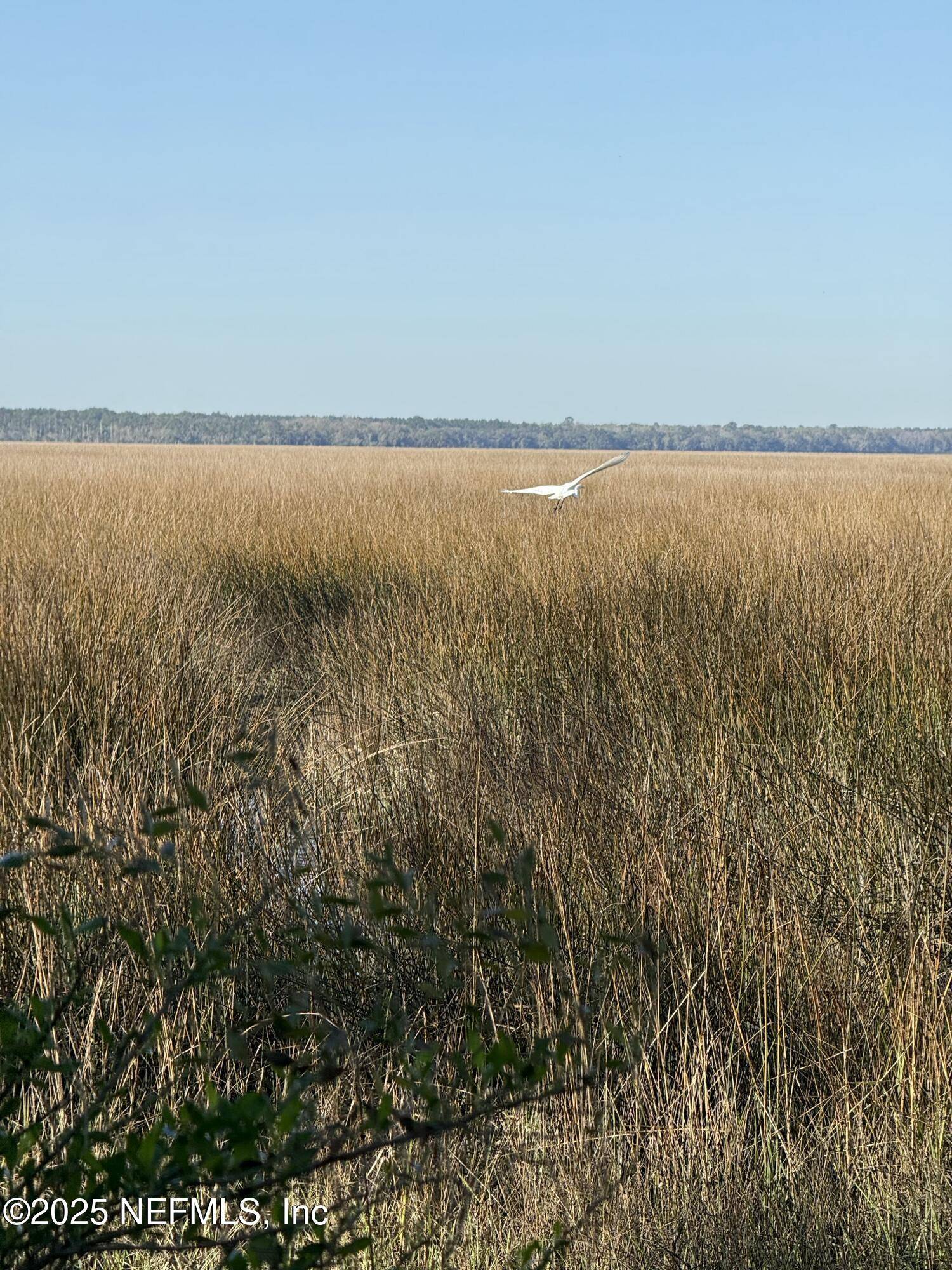 Fernandina Beach, FL 32034,85172 SOUTHERN CREEK BLVD
