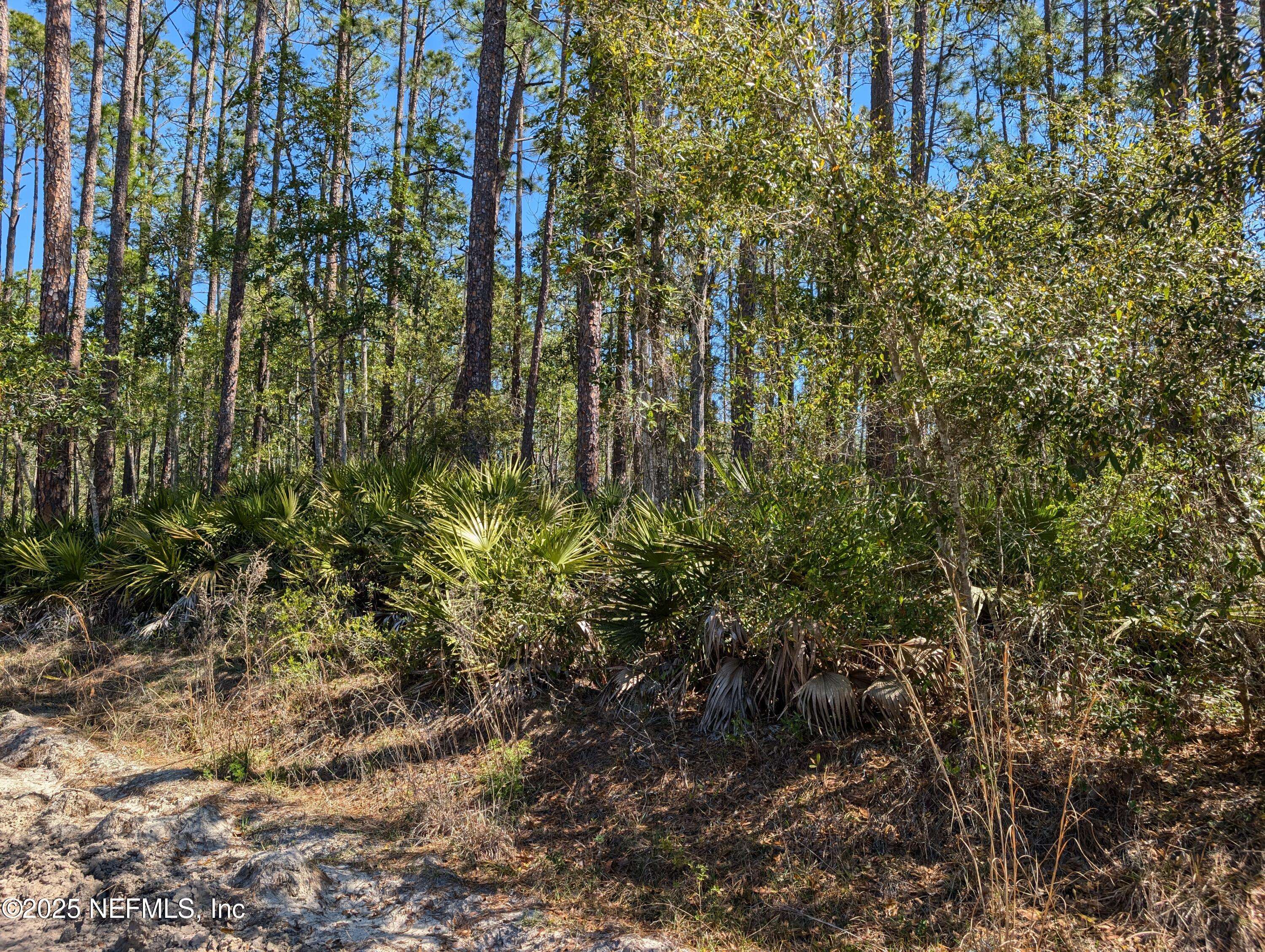 Interlachen, FL 32148,LOT 35 DINES AVE