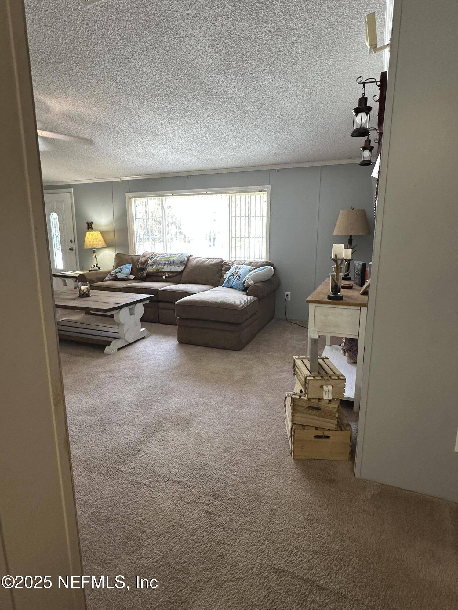 Georgetown, FL 32139,203 PALMETTO CT