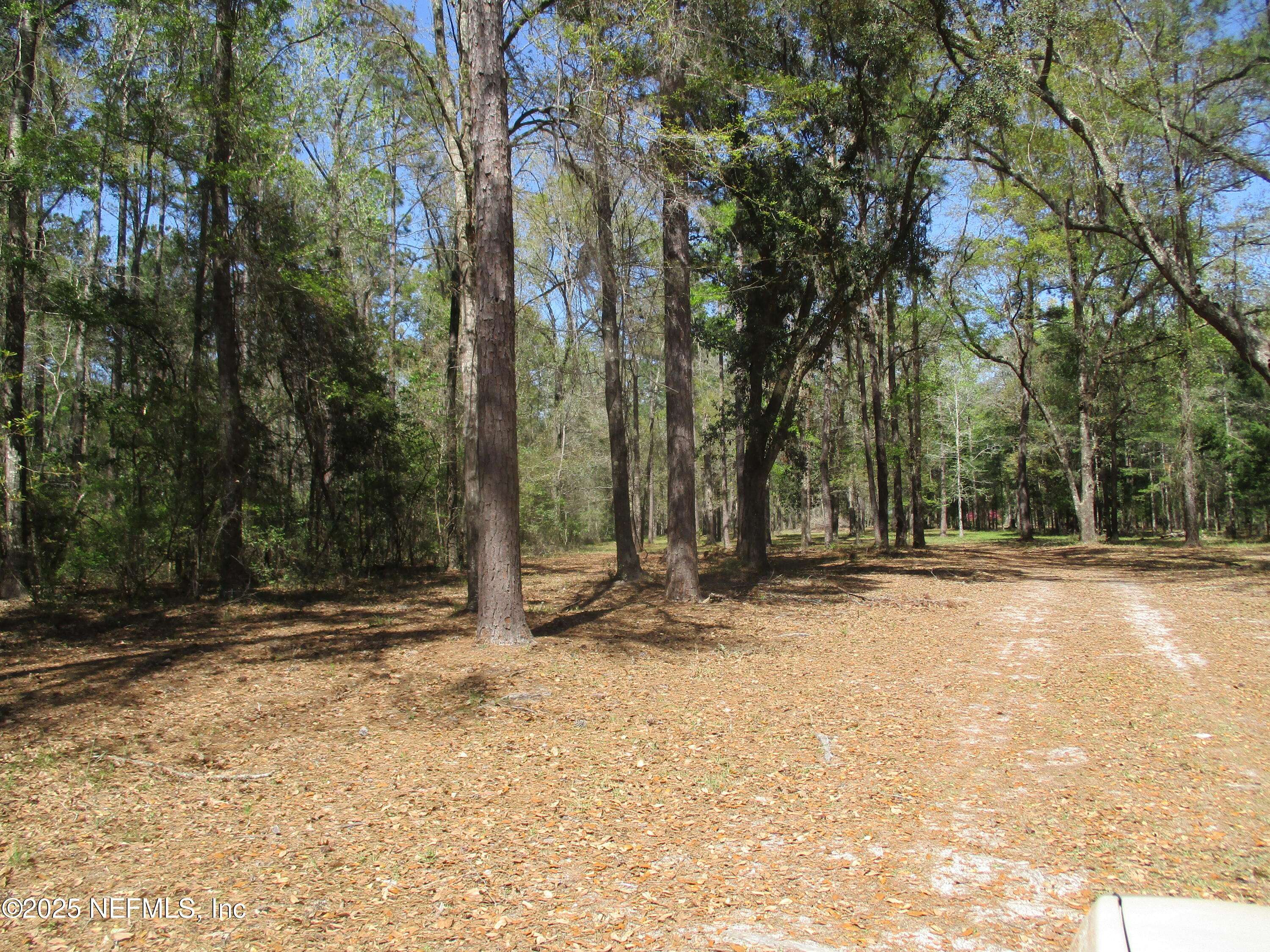 Hilliard, FL 32046,28727 TRACY RD
