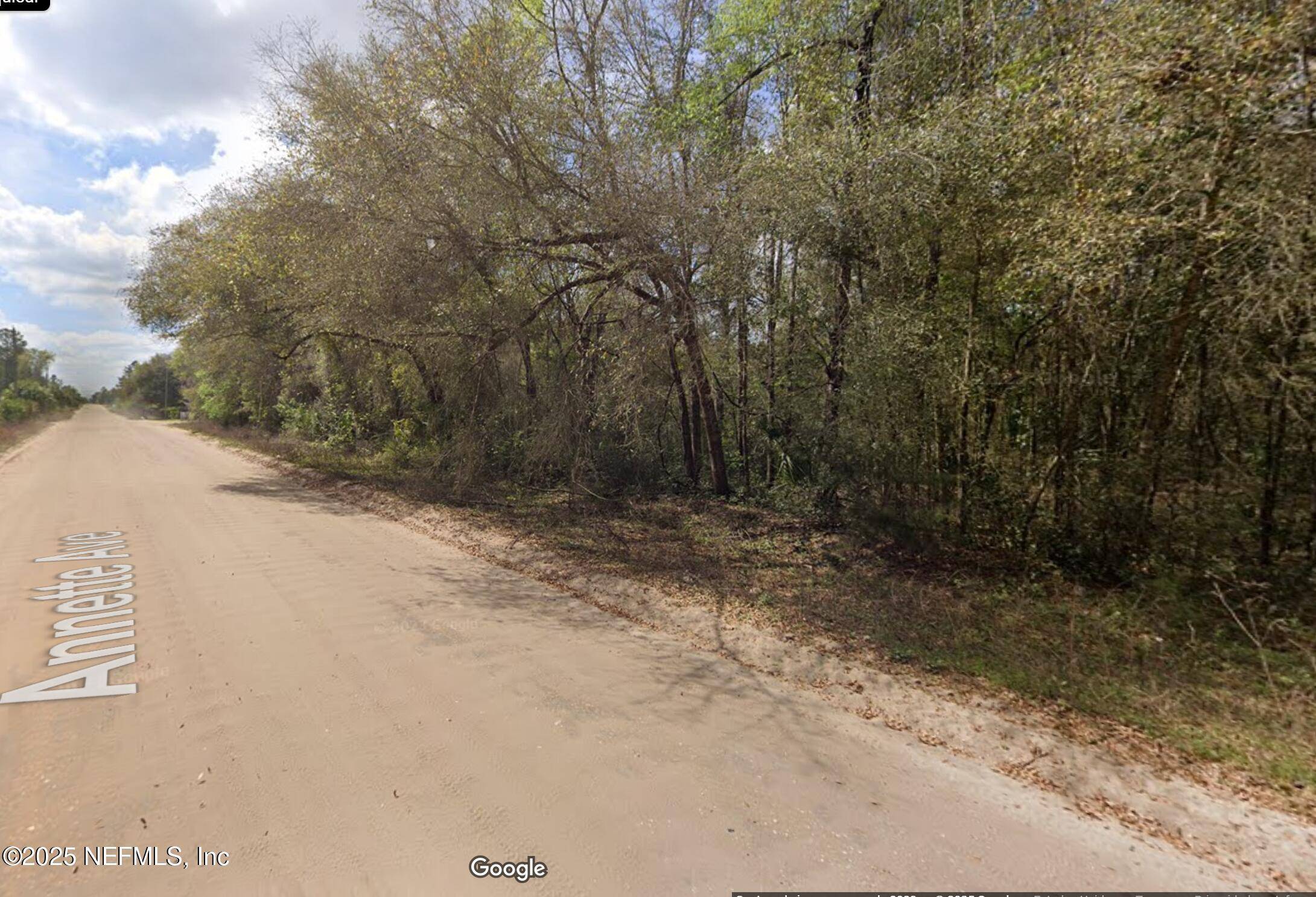 Interlachen, FL 32148,0 ANNETTE AVE