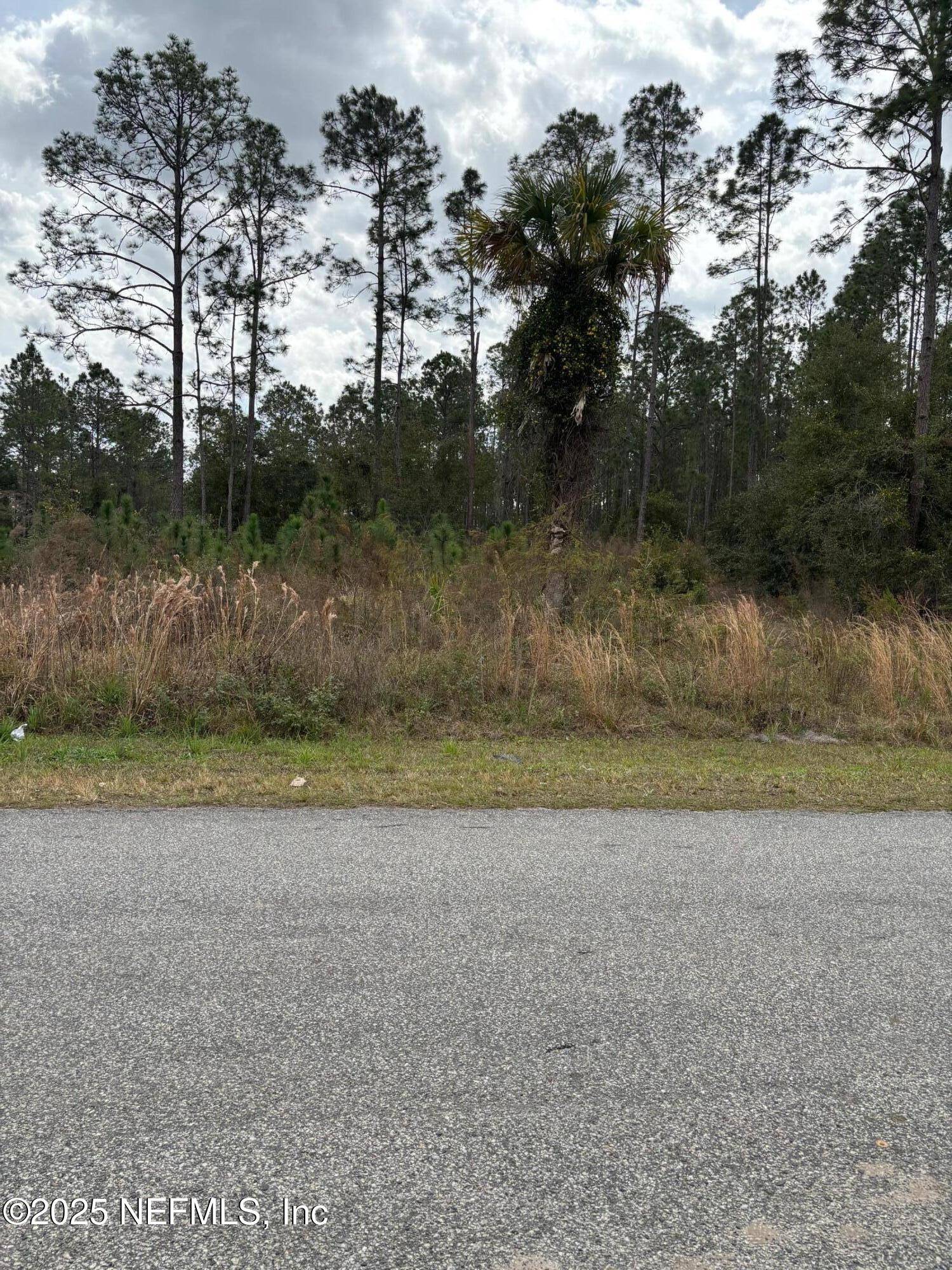 Crescent City, FL 32112,473 LIVE OAK LOOP