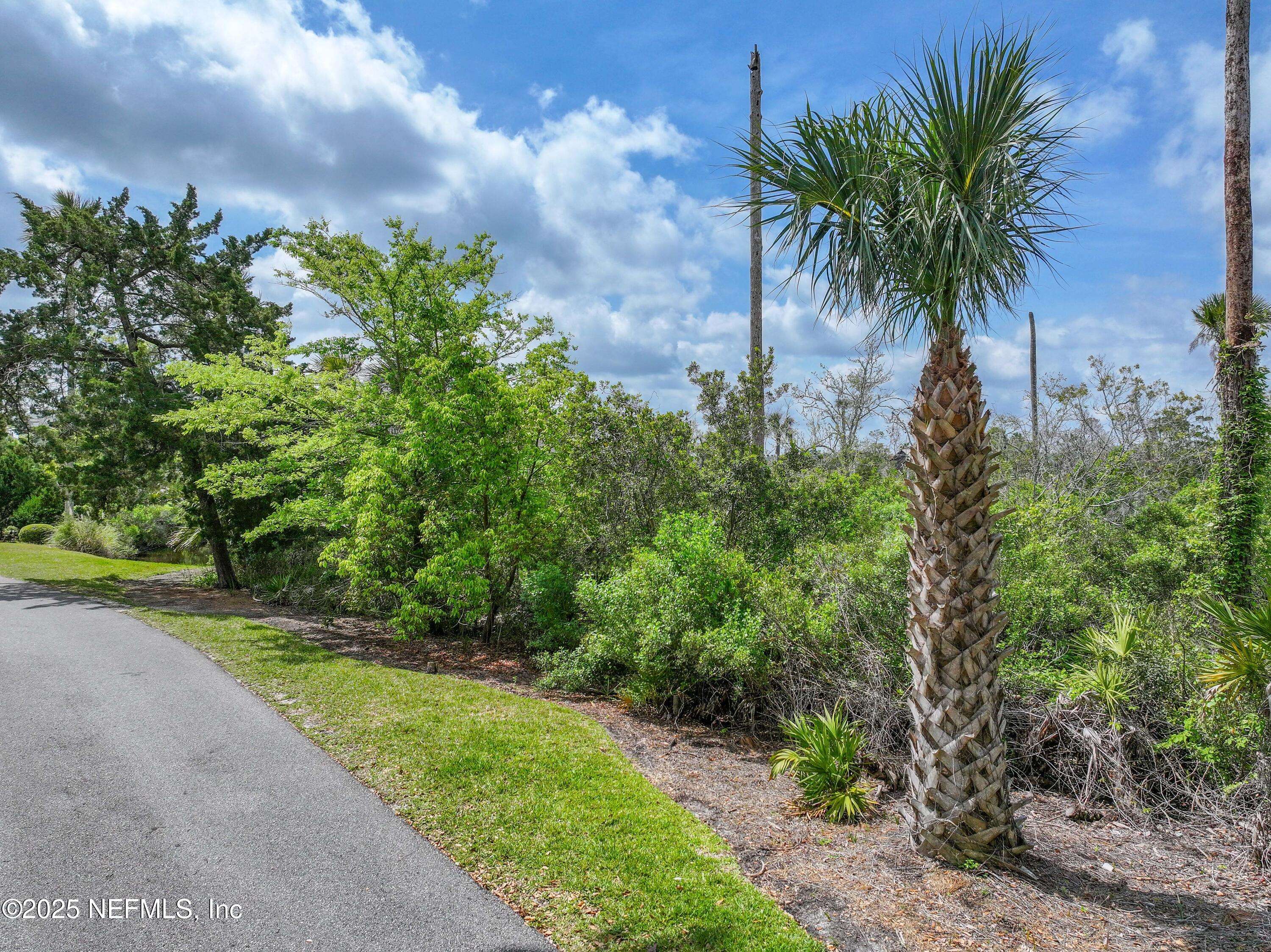 Ponte Vedra Beach, FL 32082,24631 DEER TRACE DR