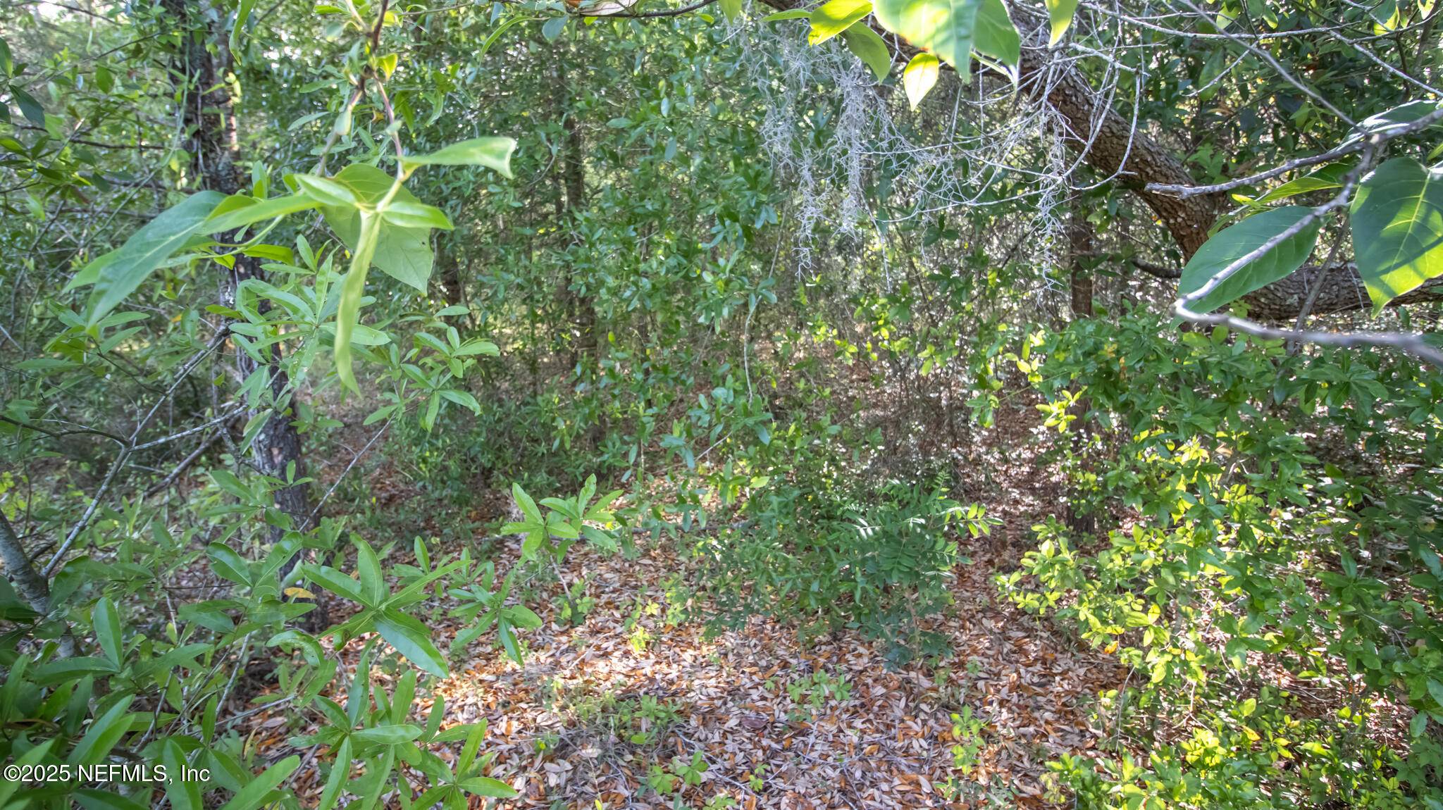 Keystone Heights, FL 32656,7685 COLORADO AVE