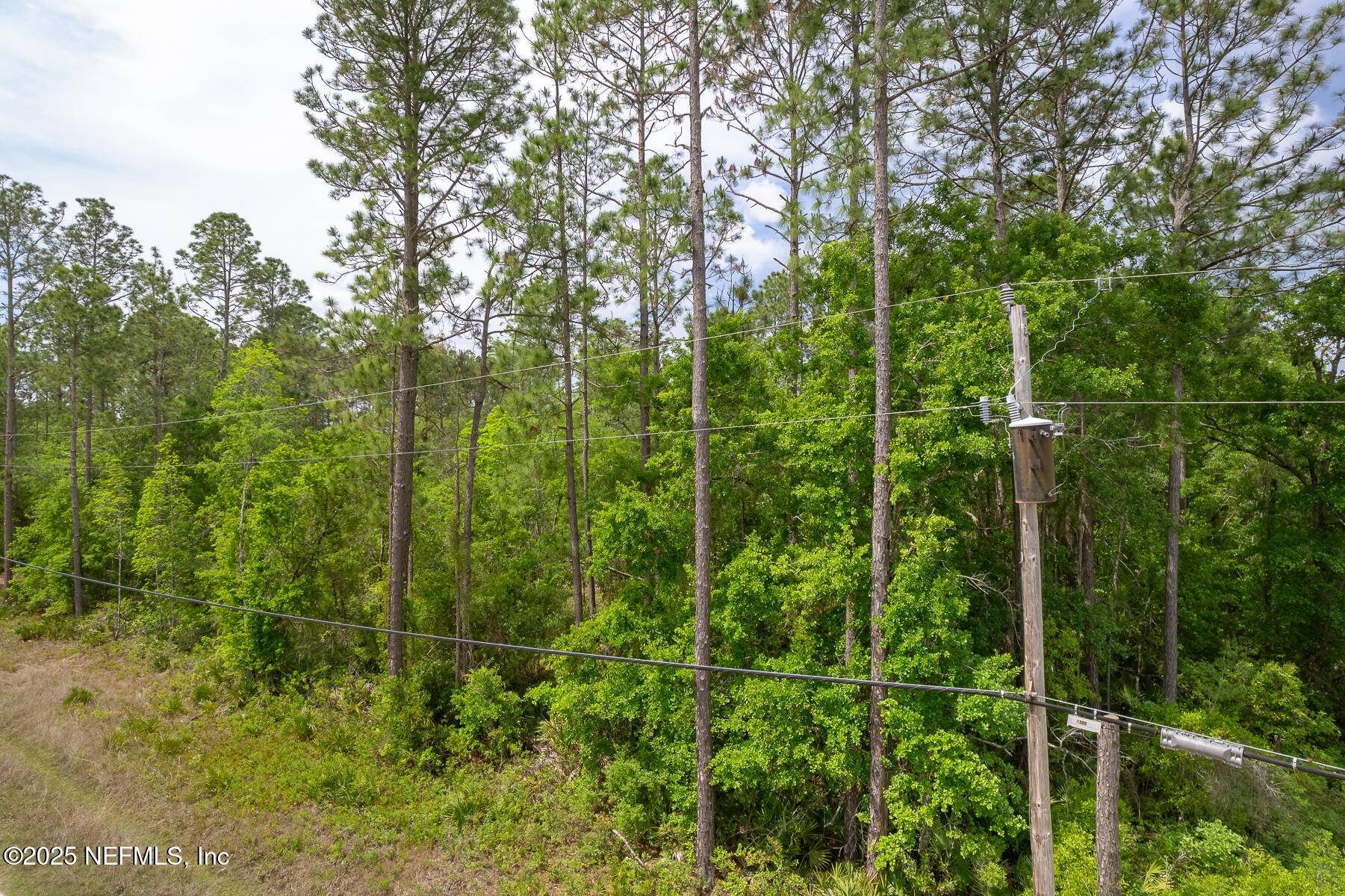 Keystone Heights, FL 32656,4431 BONDARENKO RD