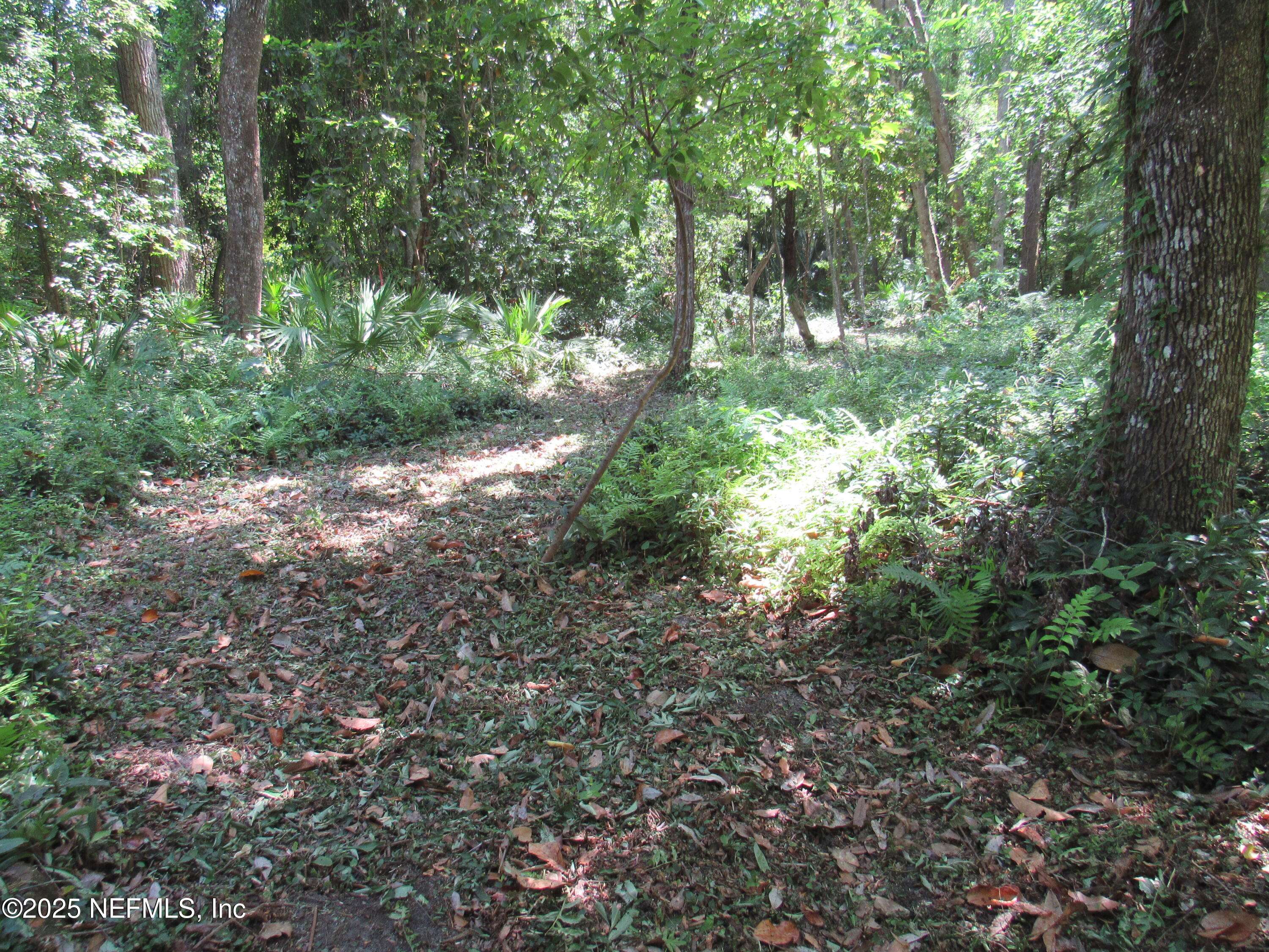 Fruit Cove, FL 32259,0 MYRON CT