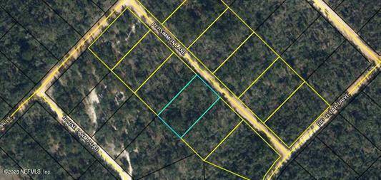 Marianna, FL 32446,TBD PERSIMMON LN