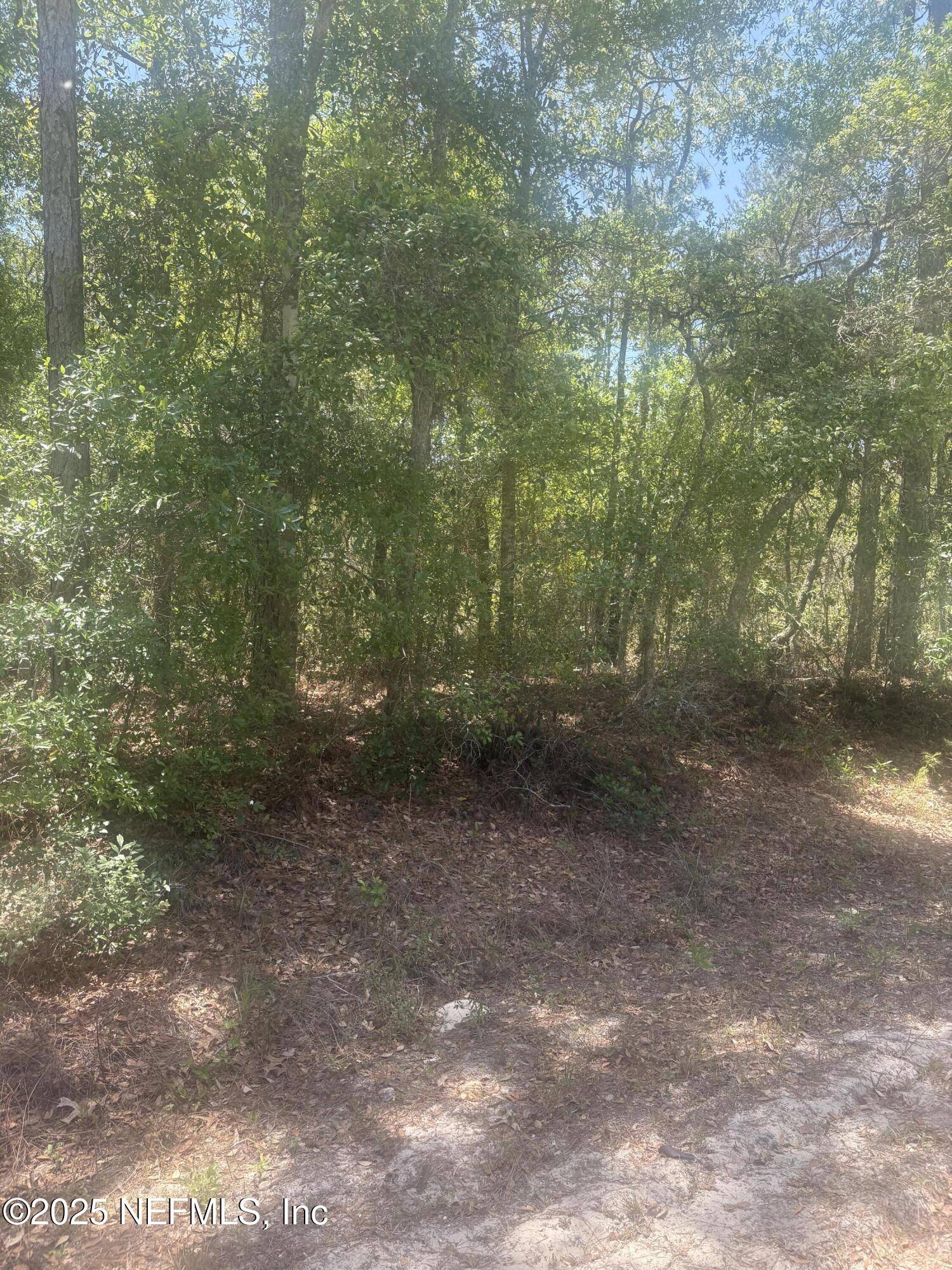 Satsuma, FL 32189,303 HICKORY NUT TRAIL TRL