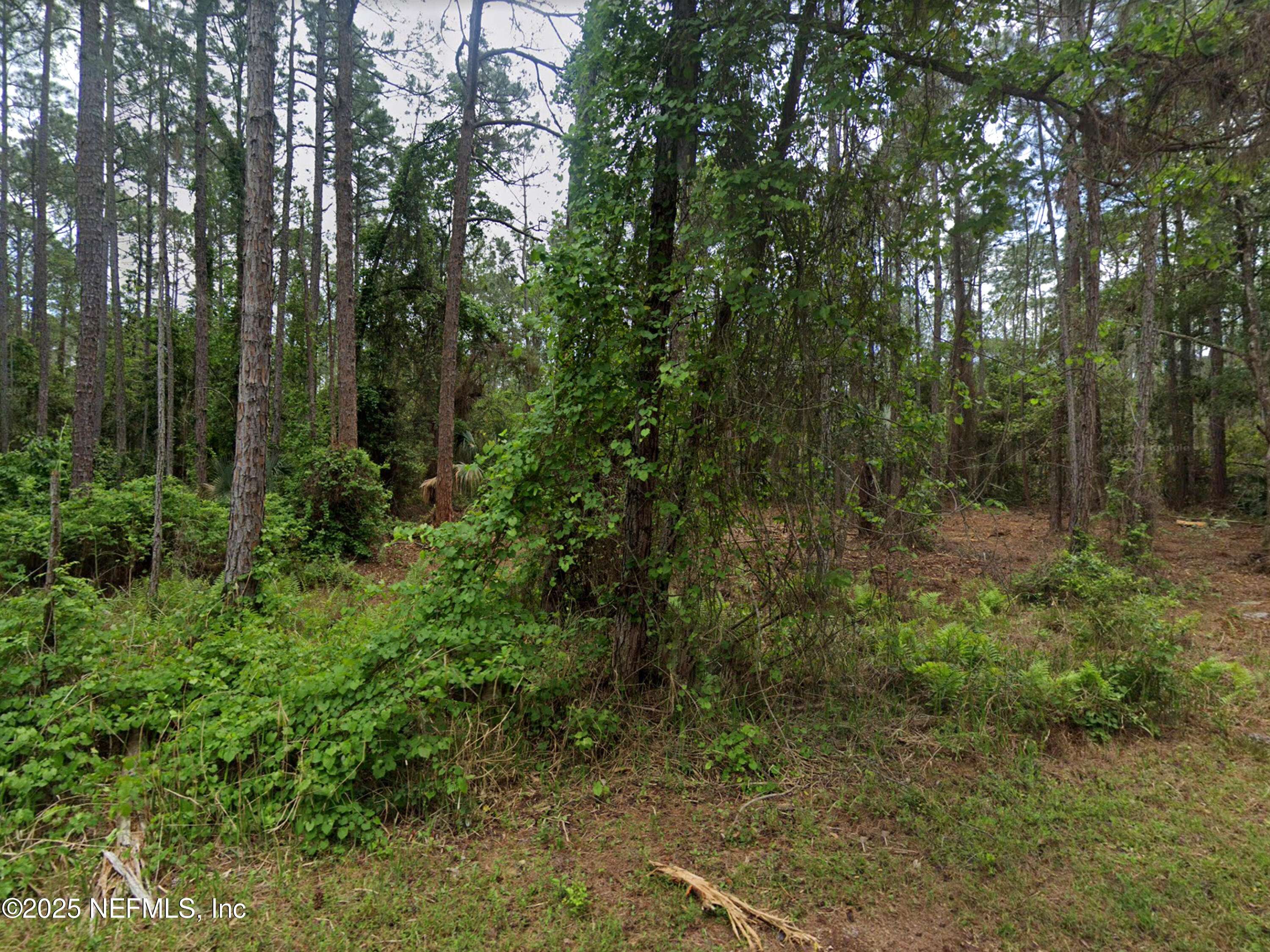 Georgetown, FL 32139,218 1ST ST