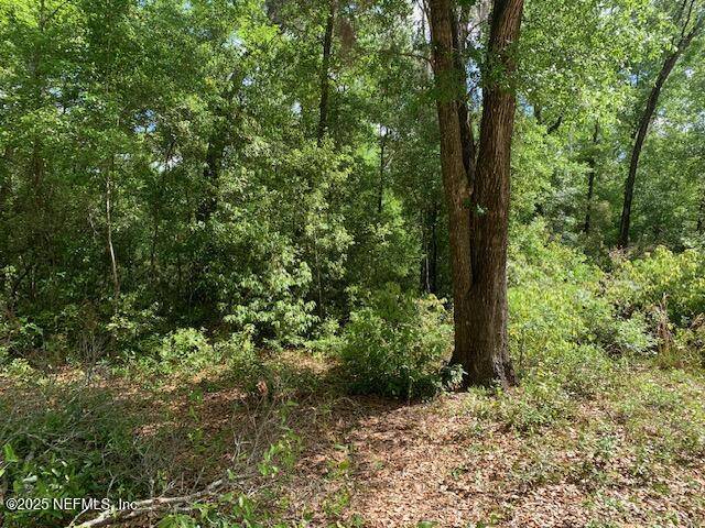 Interlachen, FL 32148,000 DOROTHY ST