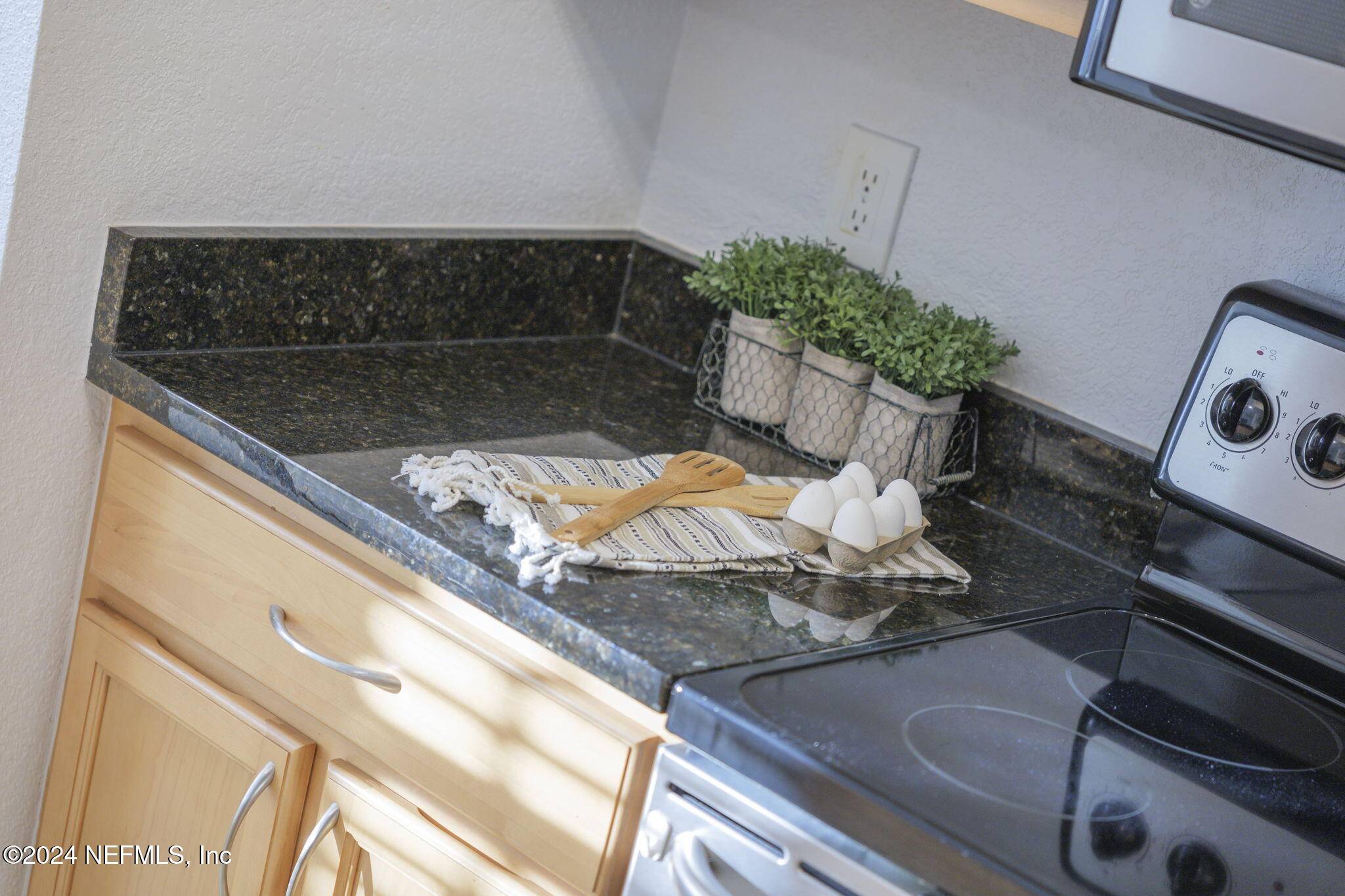Ponte Vedra Beach, FL 32082,858 SHORELINE CIR