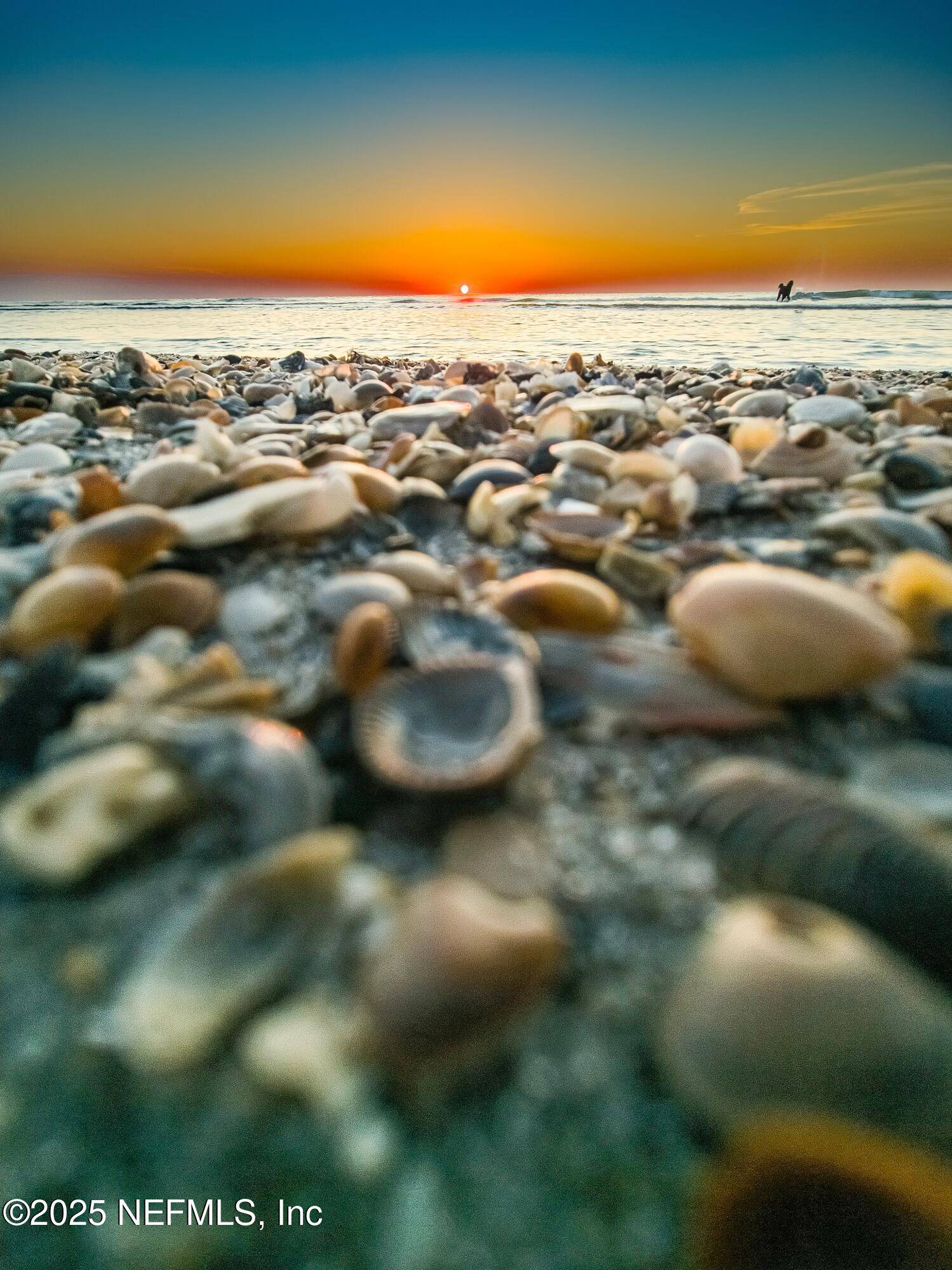 Jacksonville Beach, FL 32250,2327 COSTA VERDE BLVD #201