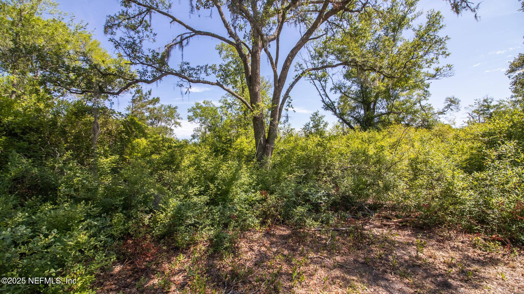 Starke, FL 32091,00 SE 140TH (PARCEL 2) AVE