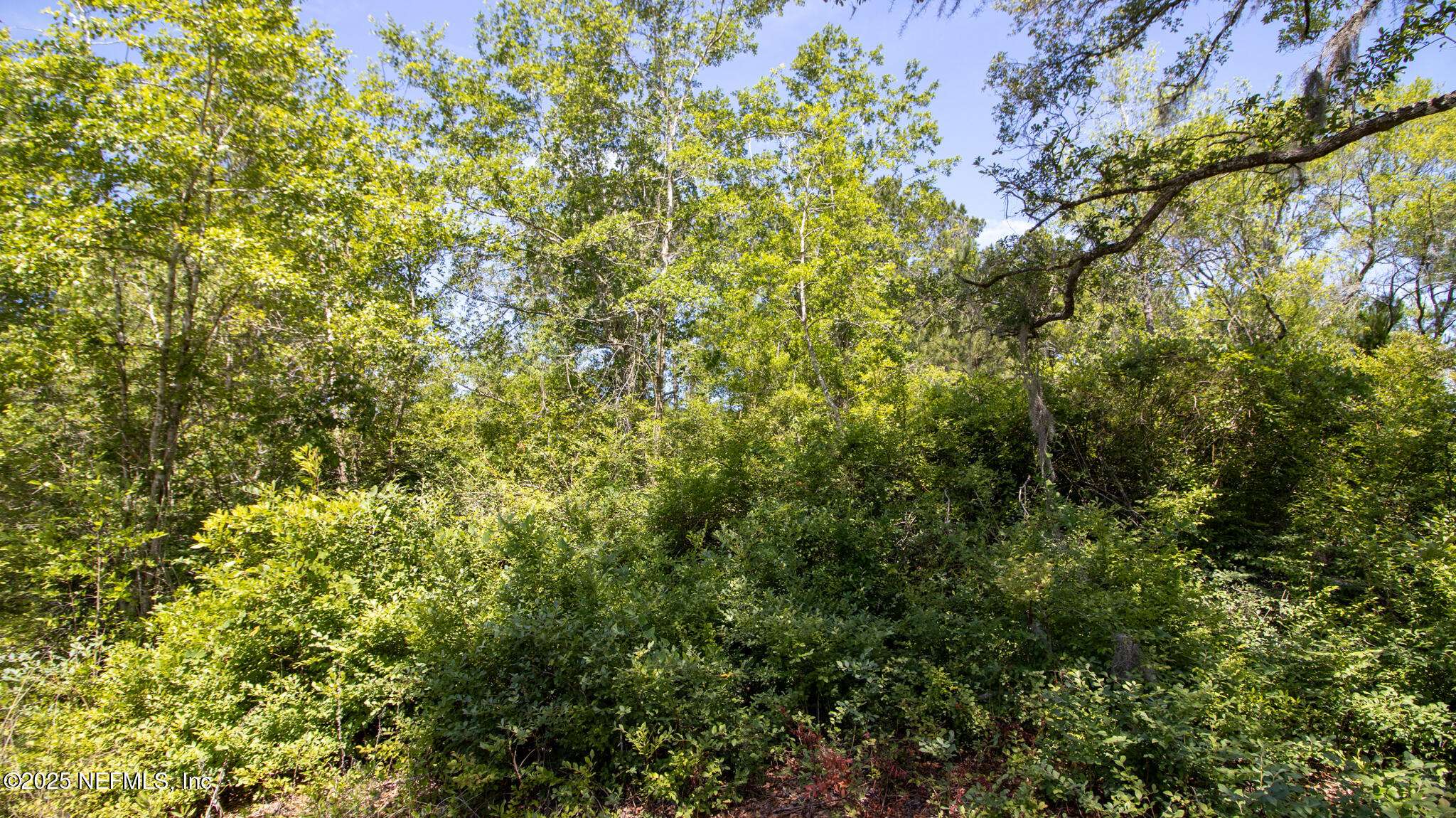 Starke, FL 32091,00 SE 139TH (PARCEL 8) ST