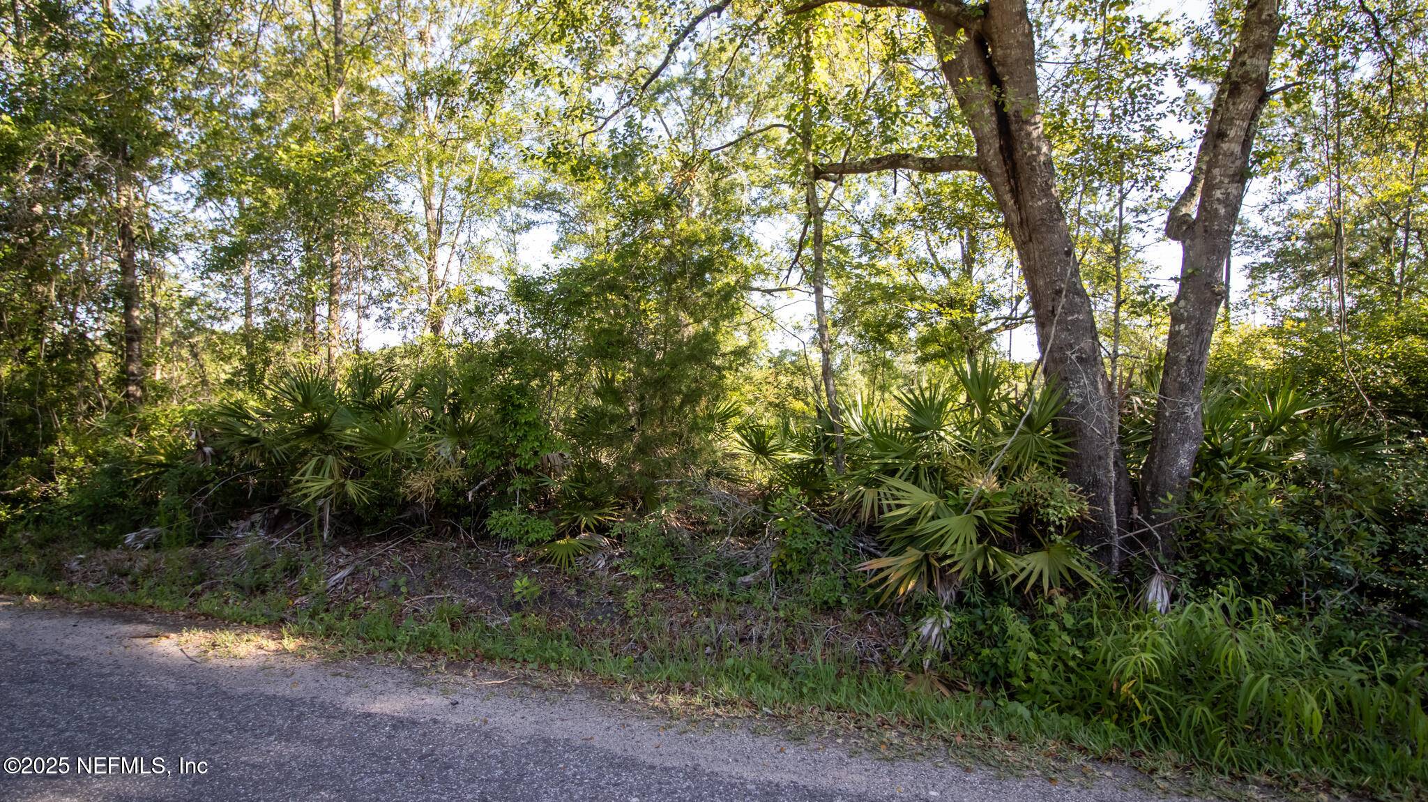 Starke, FL 32091,00 SE 139TH (PARCEL 9) ST