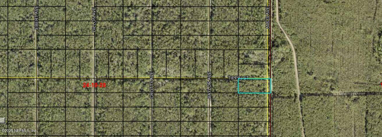 Hastings, FL 32145,0 AMOS AVE