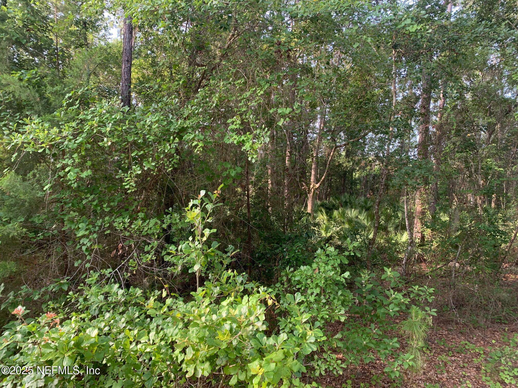Florahome, FL 32140,1230 CORAL FARMS RD