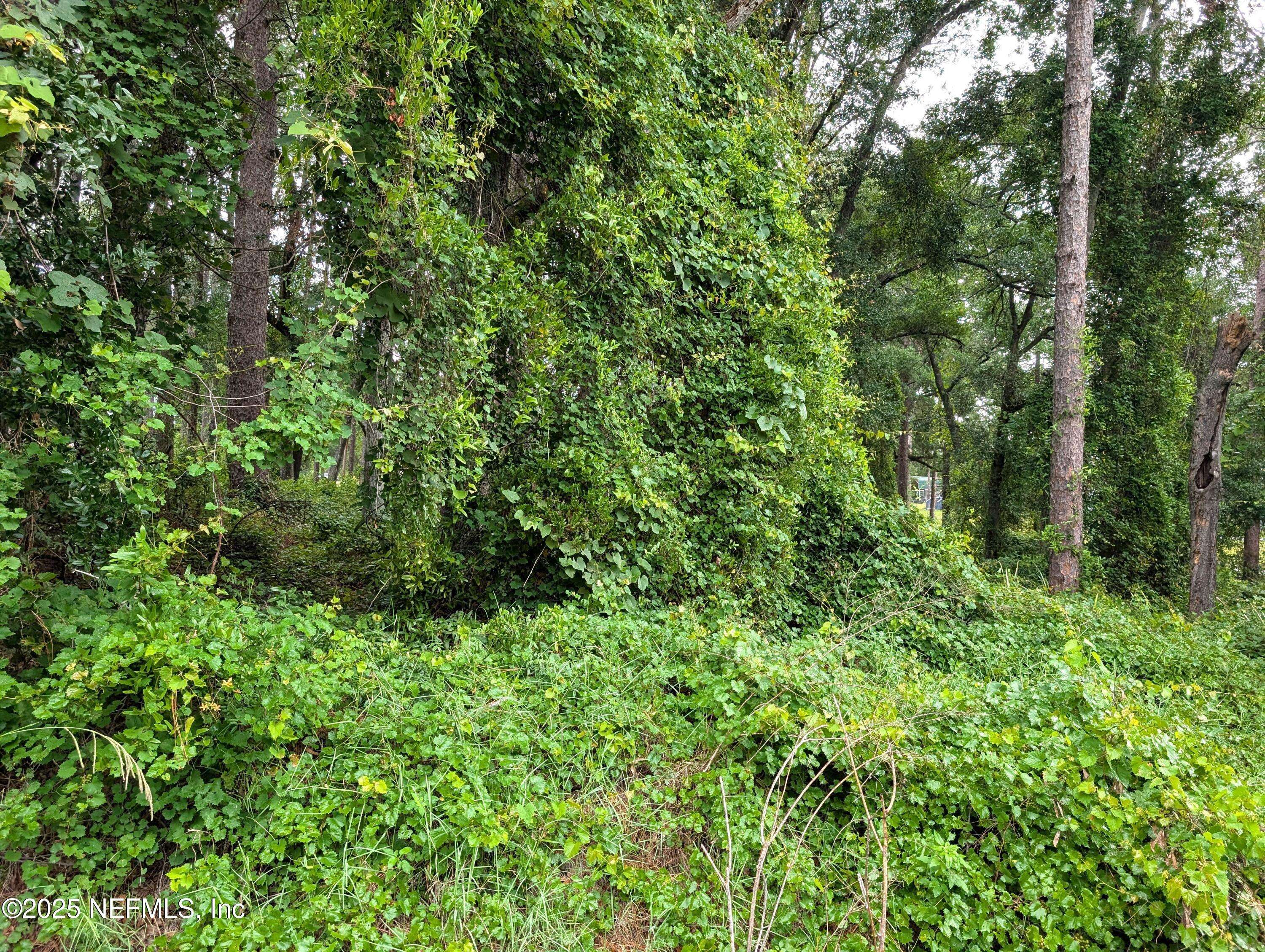 Keystone Heights, FL 32656,00 SE 1ST AVE