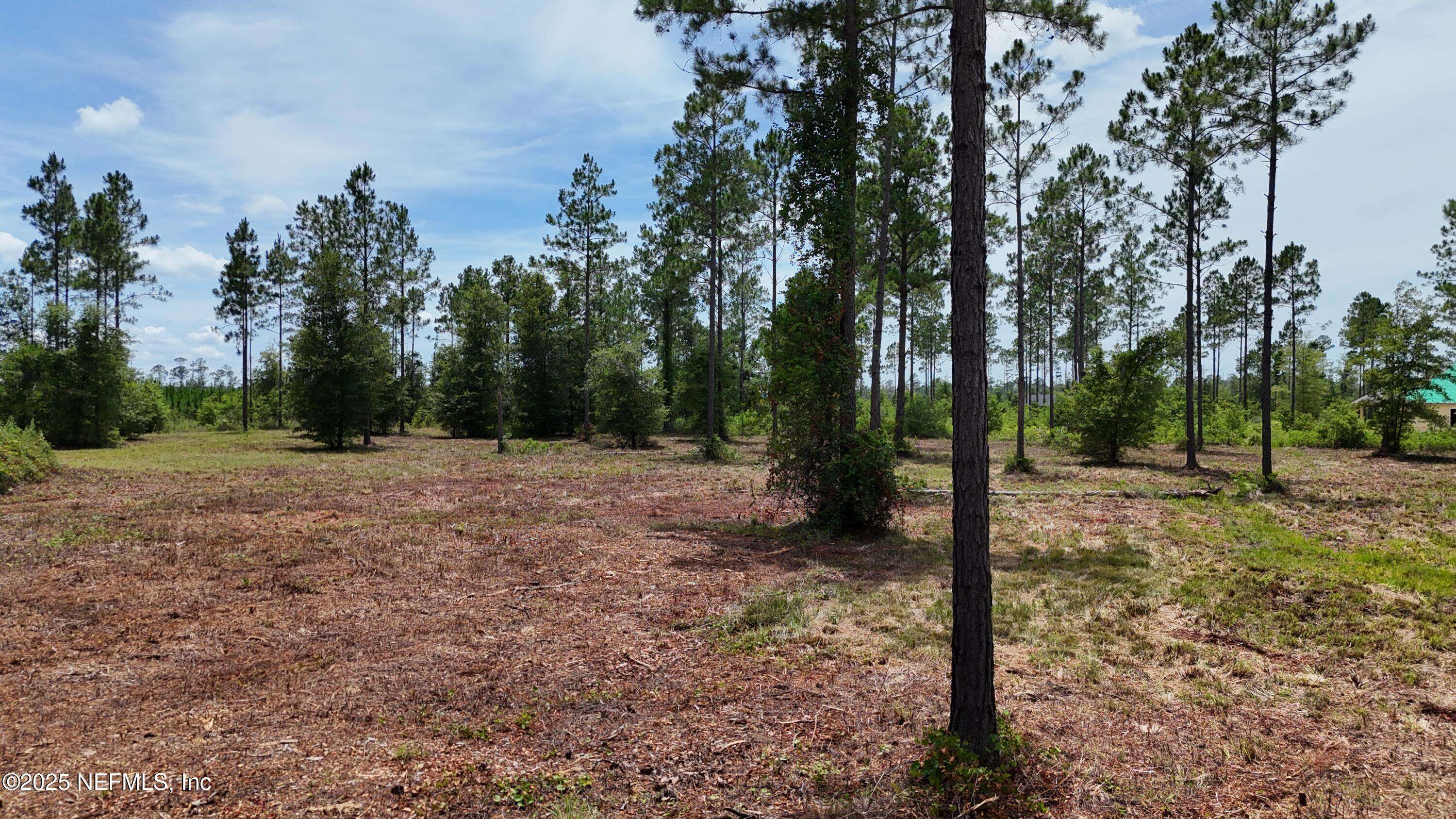 Bryceville, FL 32009,8591 FORD RD