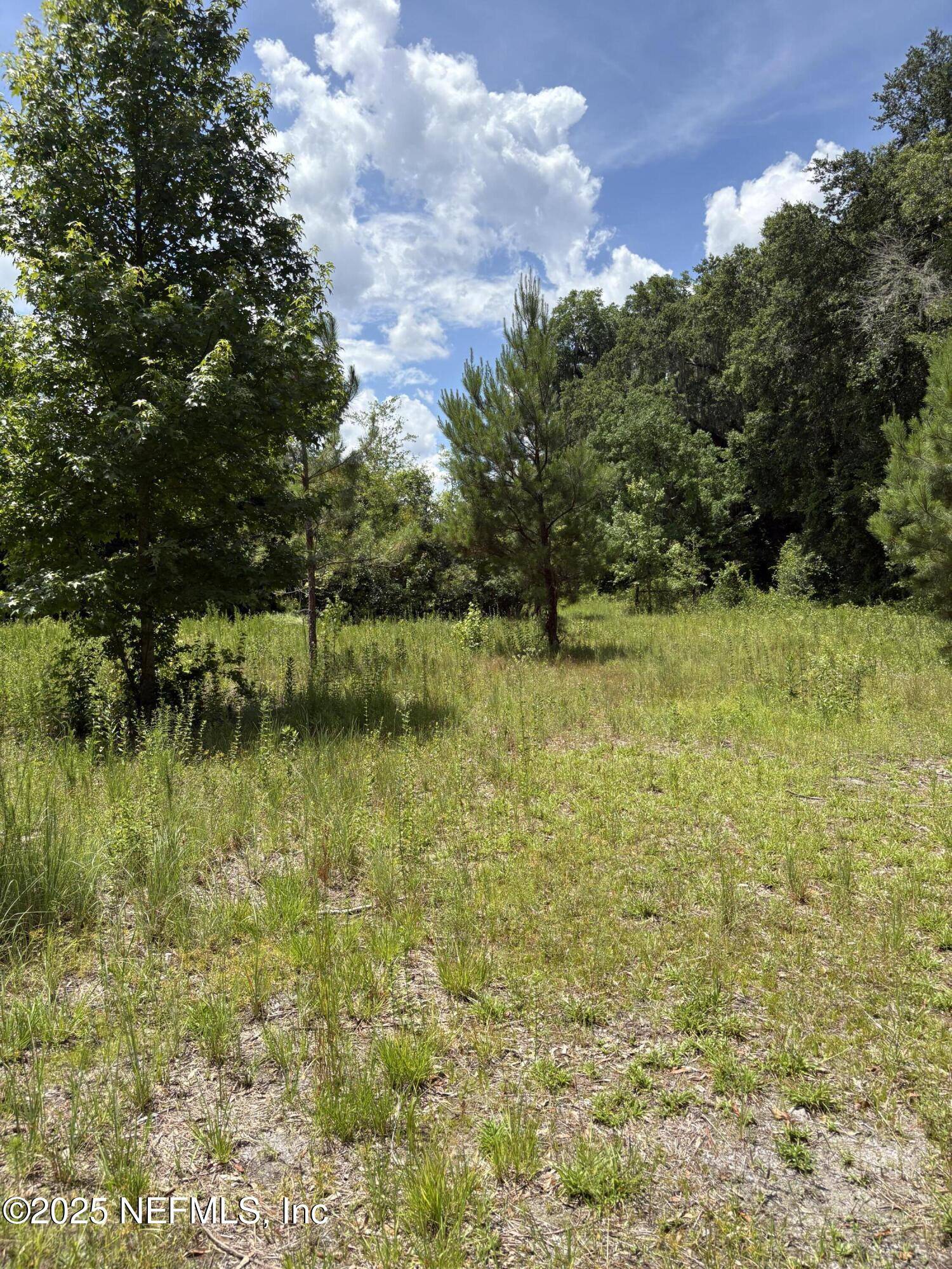 Lawtey, FL 32058,22438 NW 44TH AVE
