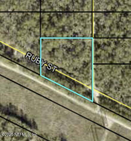 Hastings, FL 32145,0 Ruby ST
