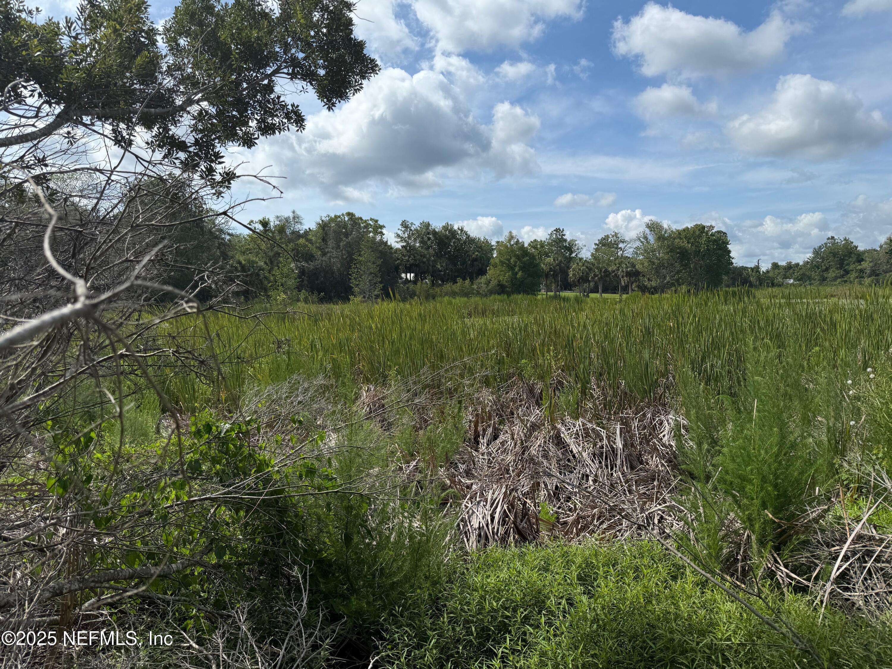 Interlachen, FL 32148,151 LONG BRANCH TRL