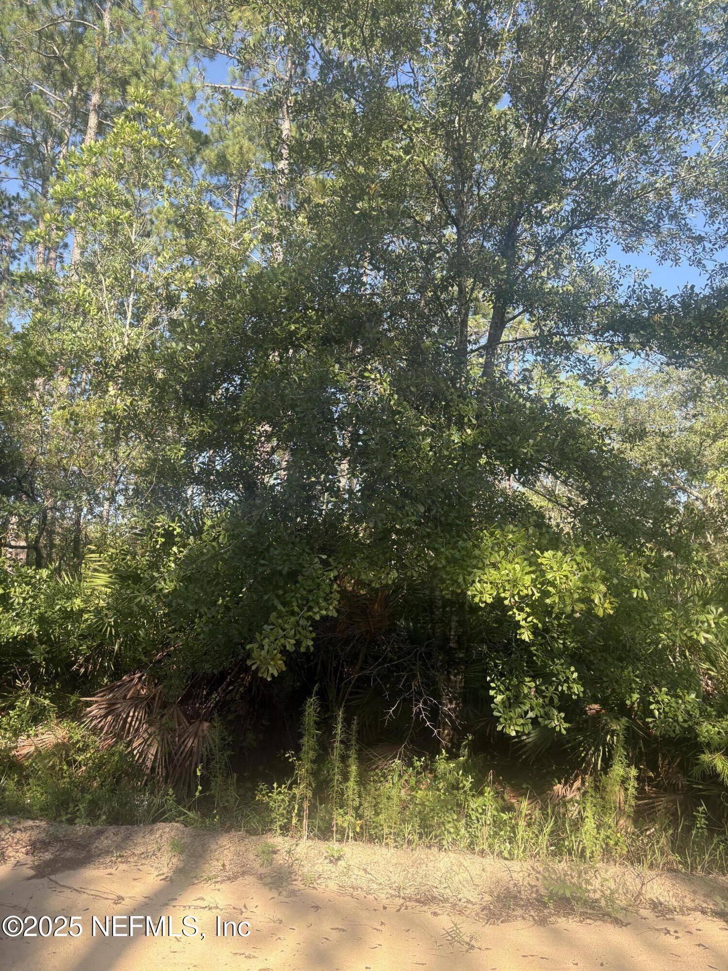 Interlachen, FL 32148,0060 MONTAGUE AVE